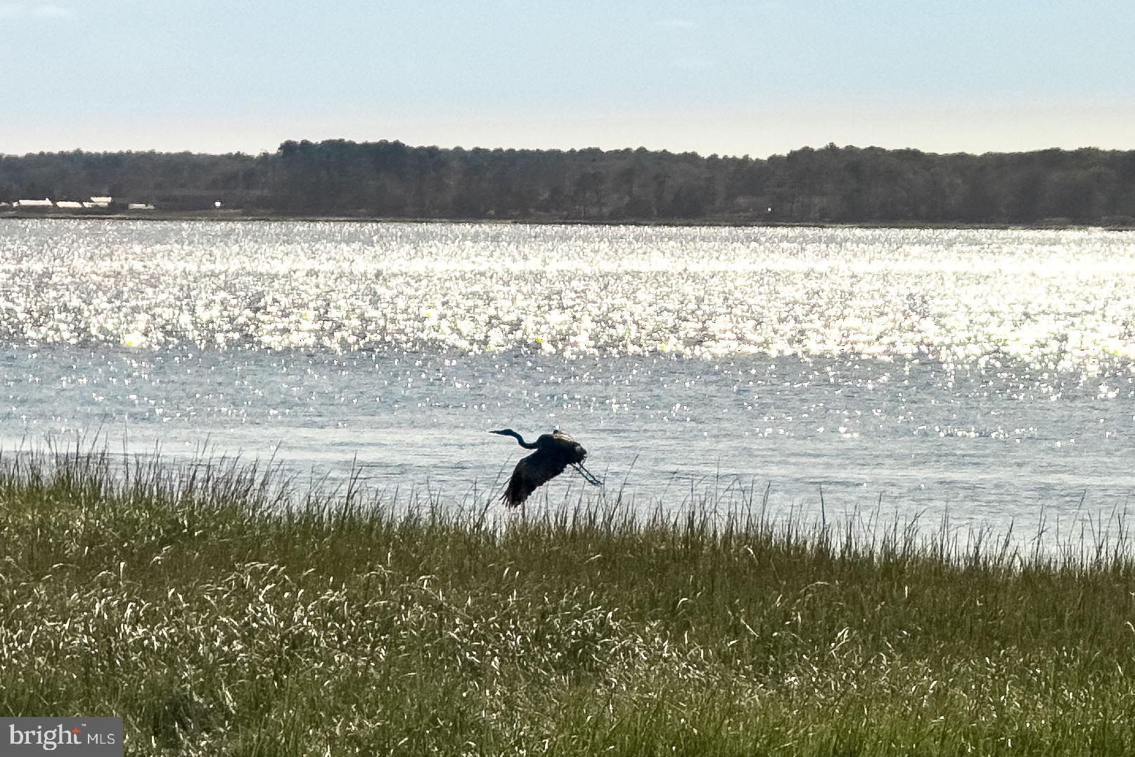 SOUTH SHORE MARINA - Residential