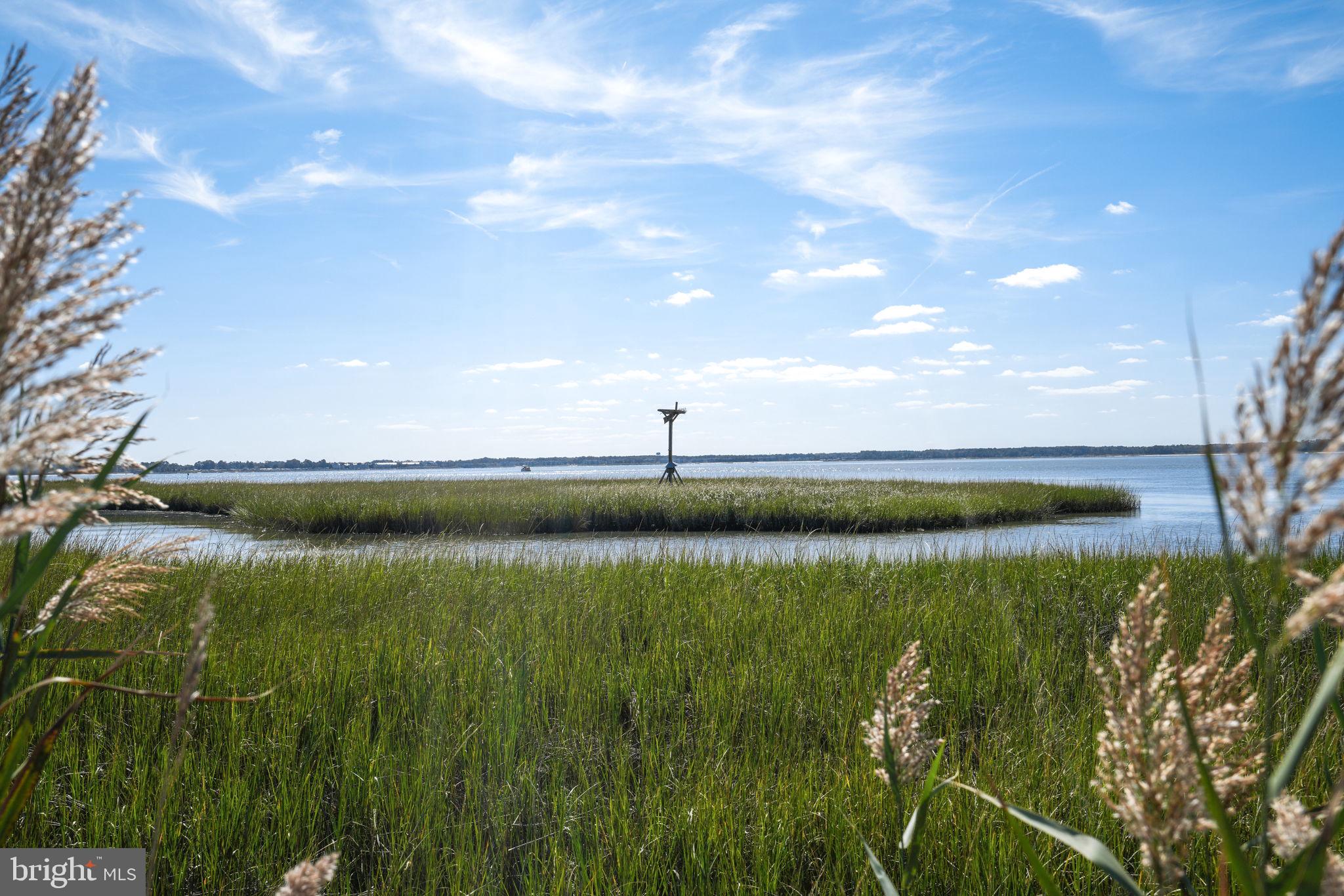 SOUTH SHORE MARINA - Residential