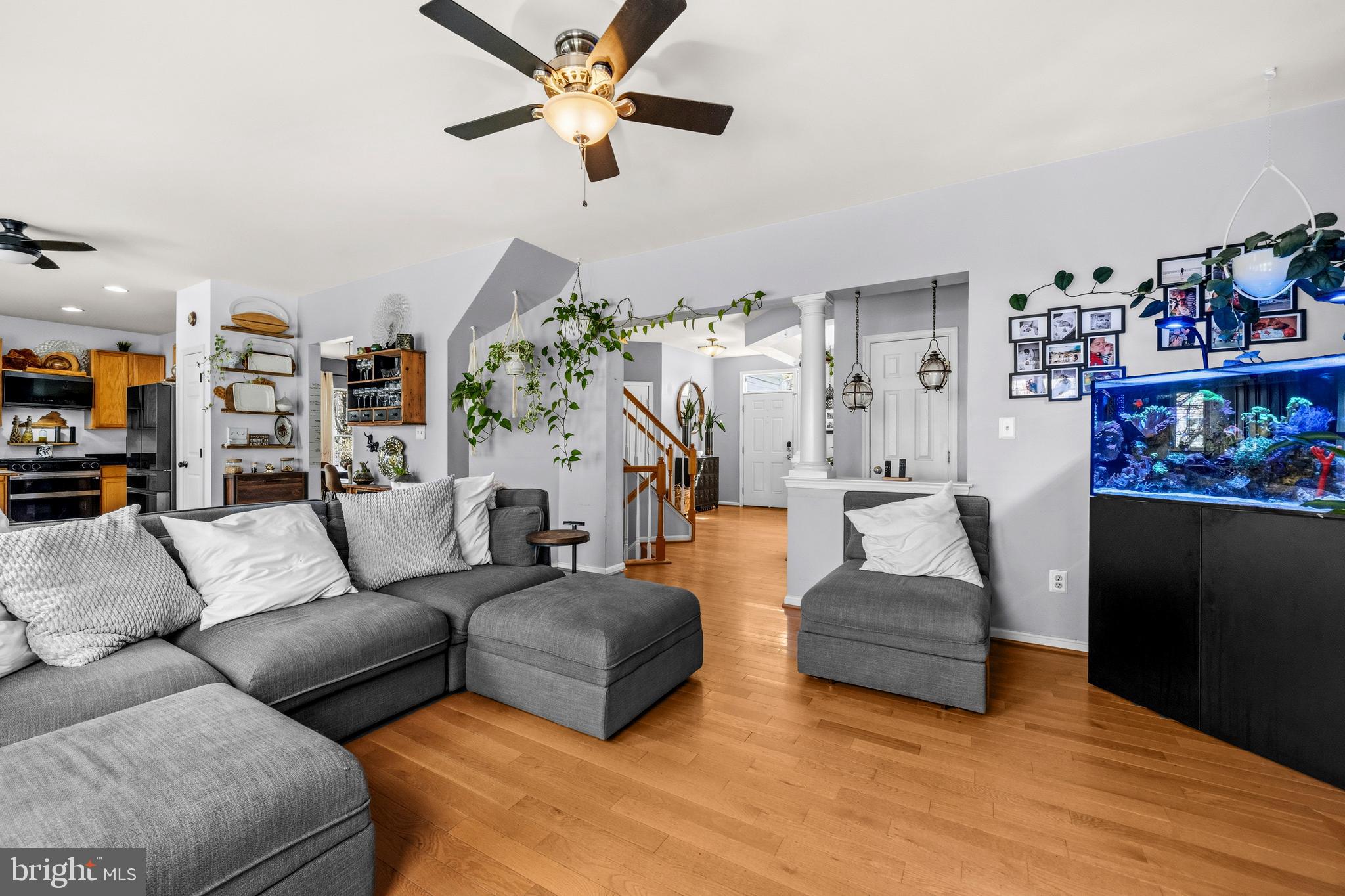 BRAEMAR - Residential