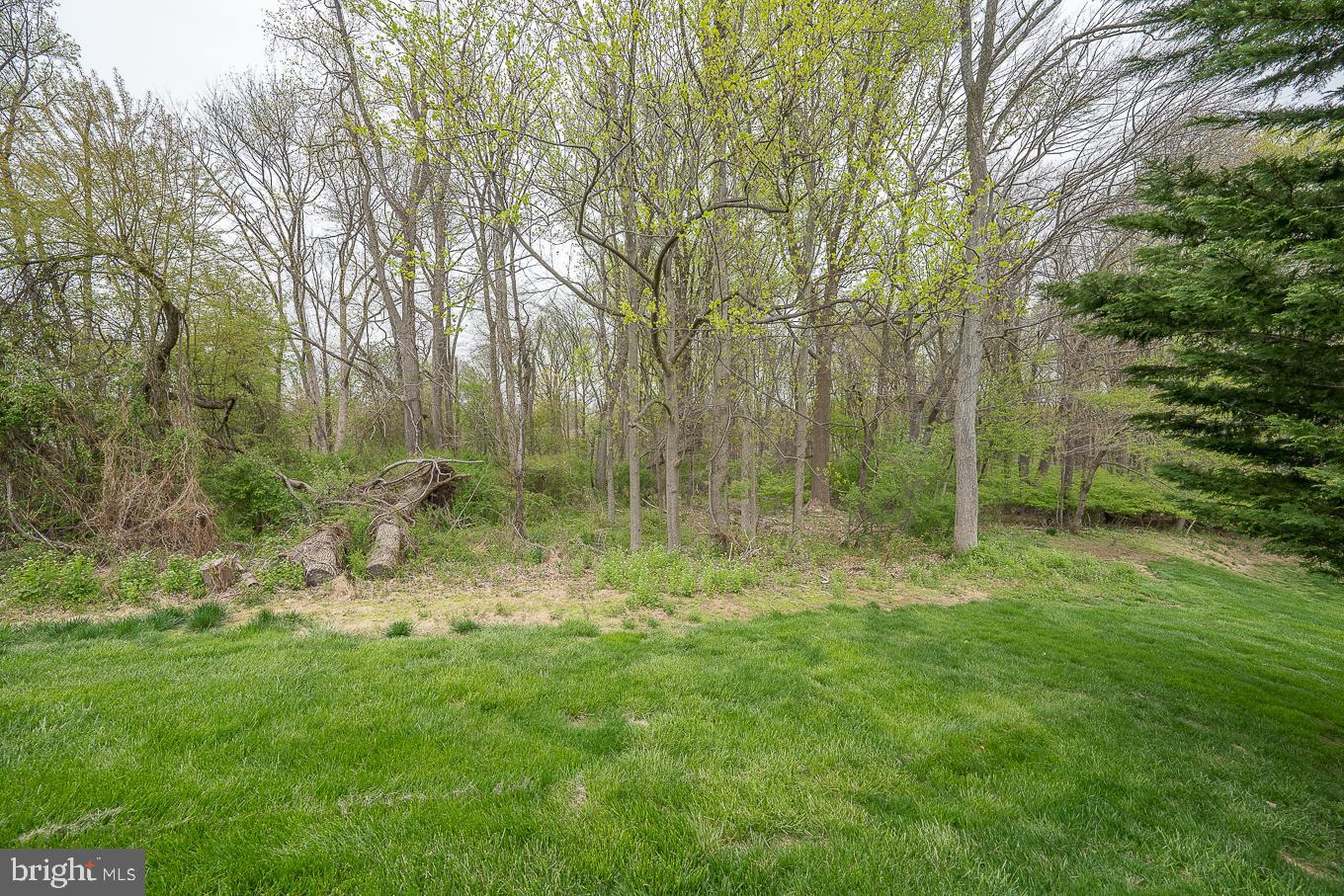 WAYNESBOROUGH WOOD - Residential