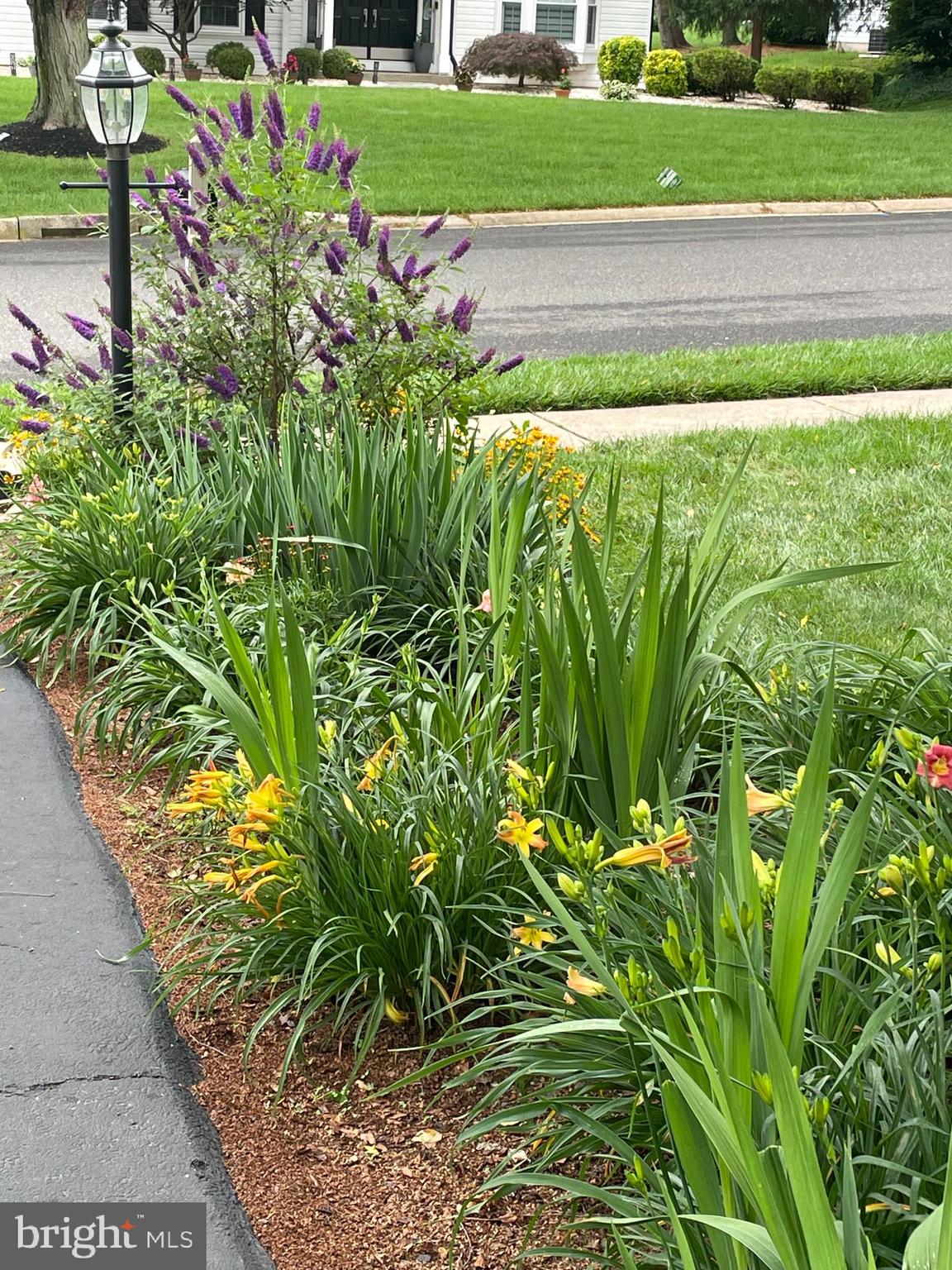 MILESTONE - Residential