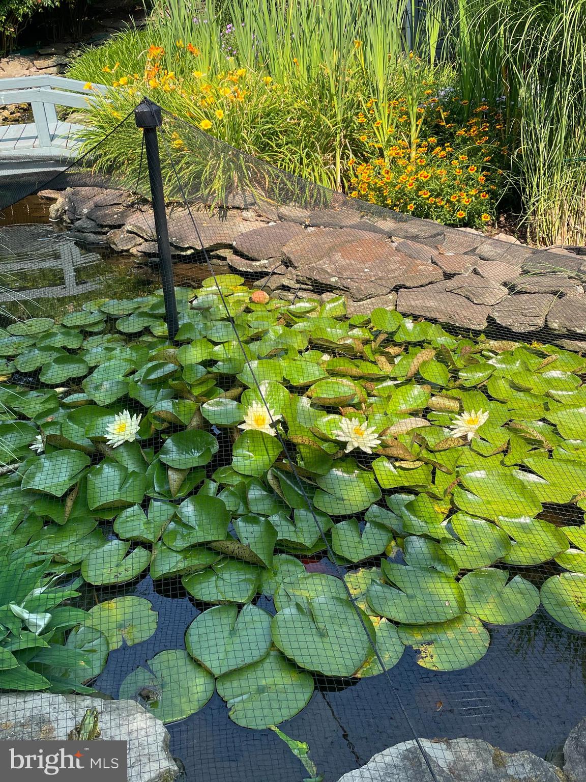 MILESTONE - Residential