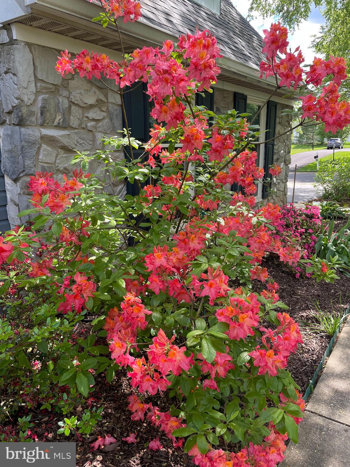 MILESTONE - Residential