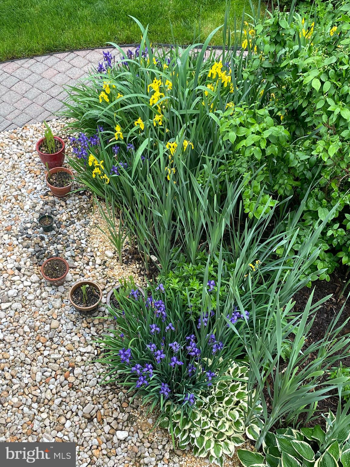 MILESTONE - Residential