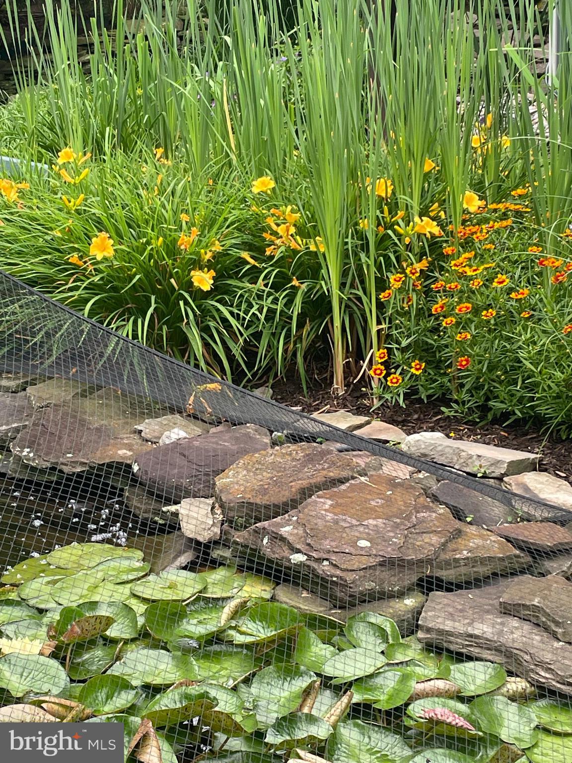 MILESTONE - Residential