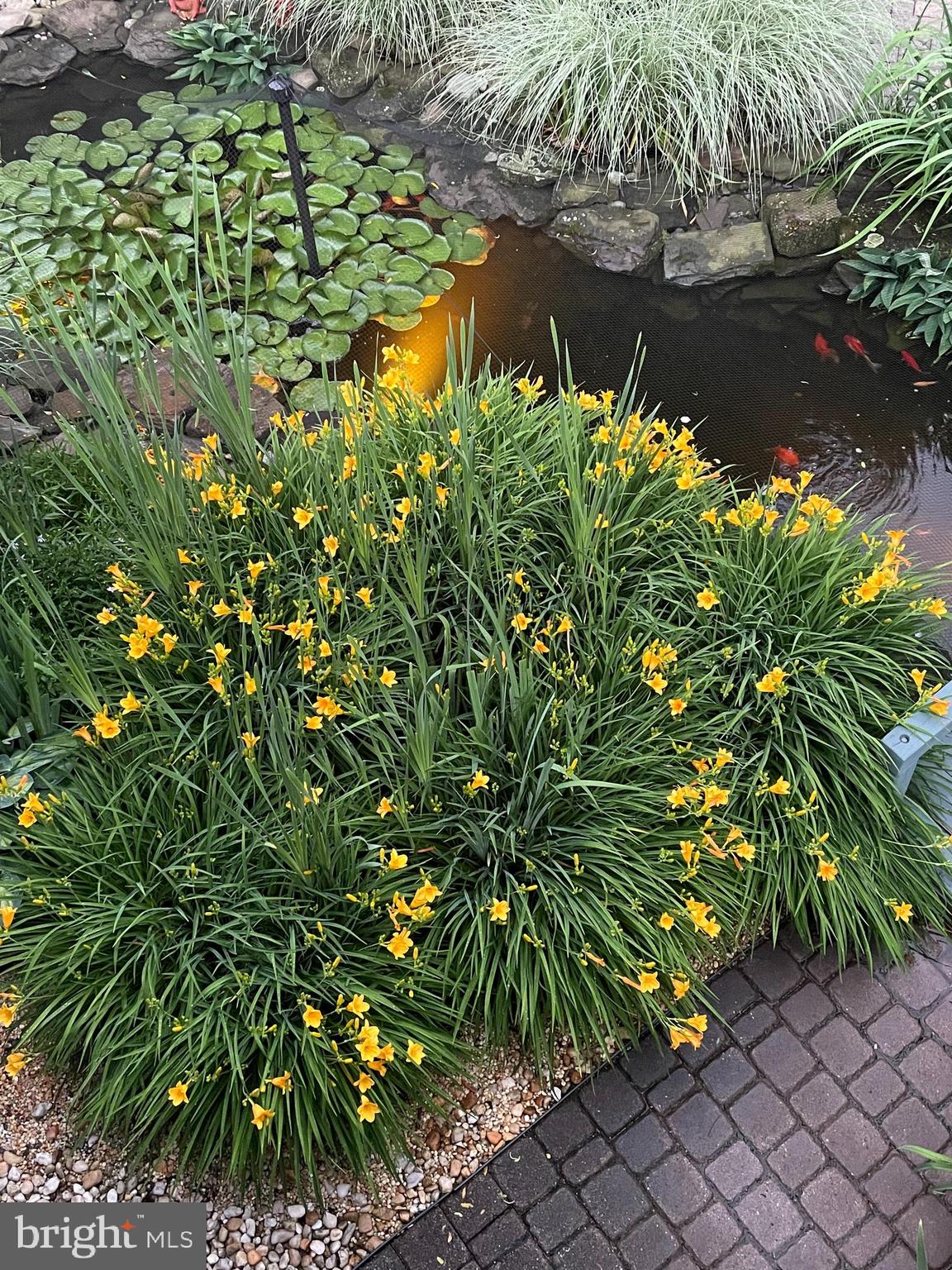 MILESTONE - Residential