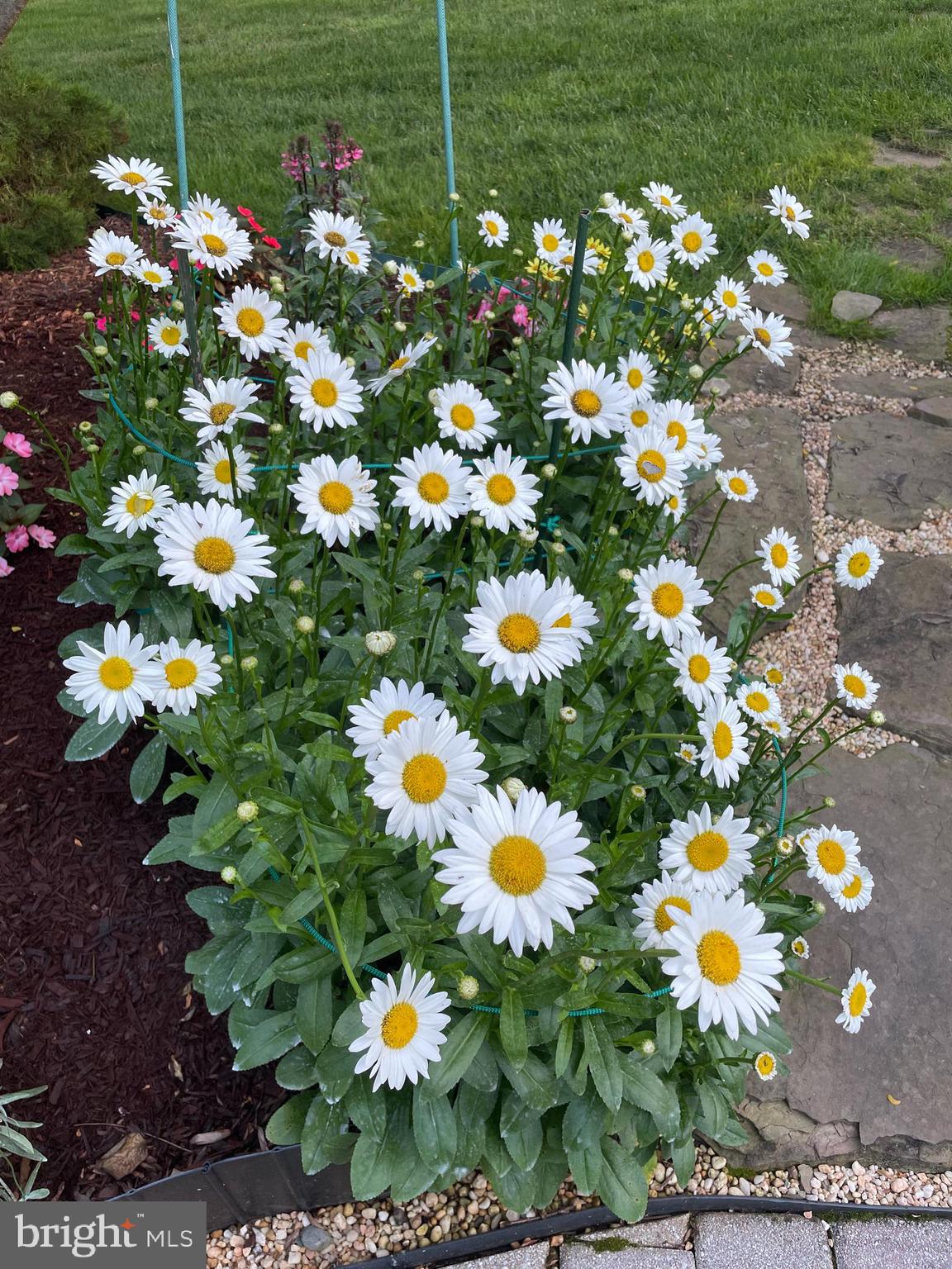 MILESTONE - Residential