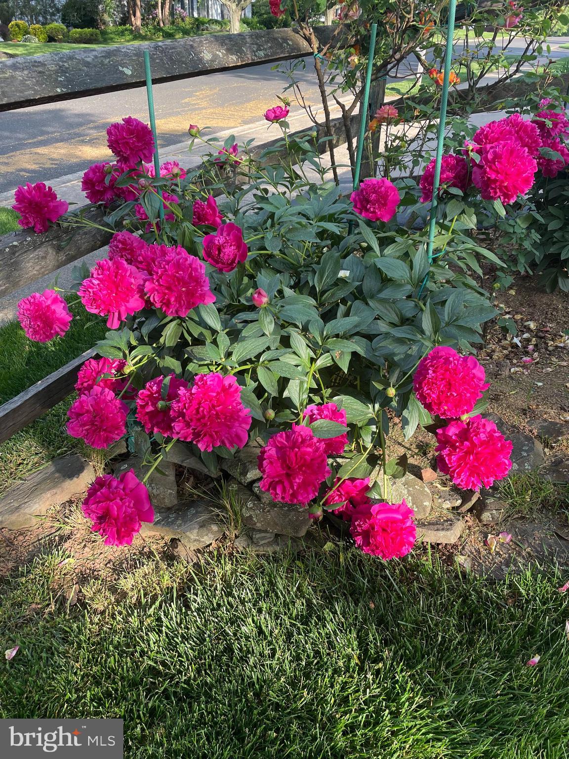 MILESTONE - Residential