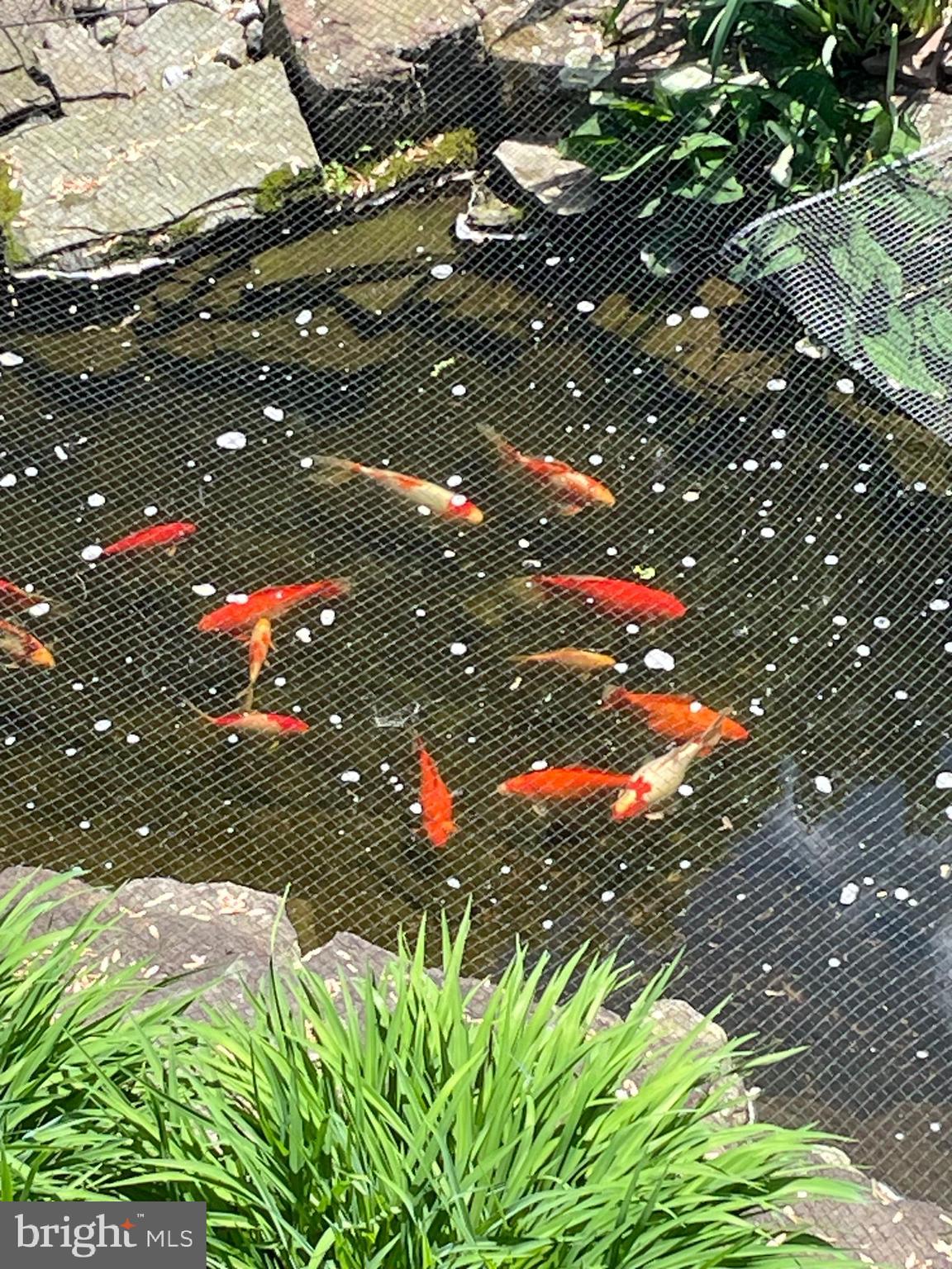 MILESTONE - Residential