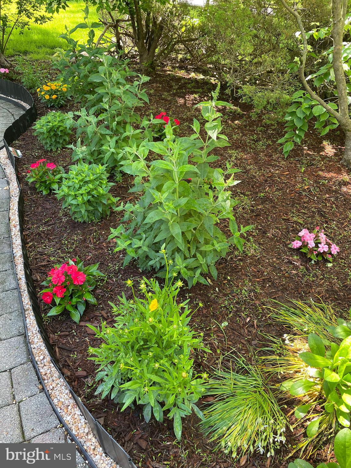 MILESTONE - Residential