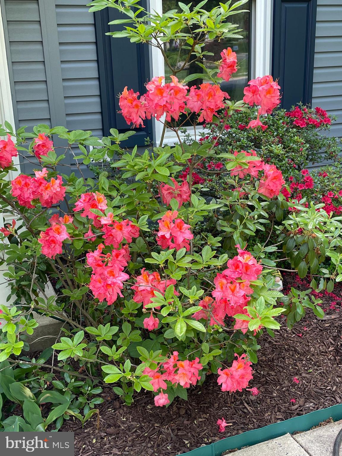 MILESTONE - Residential