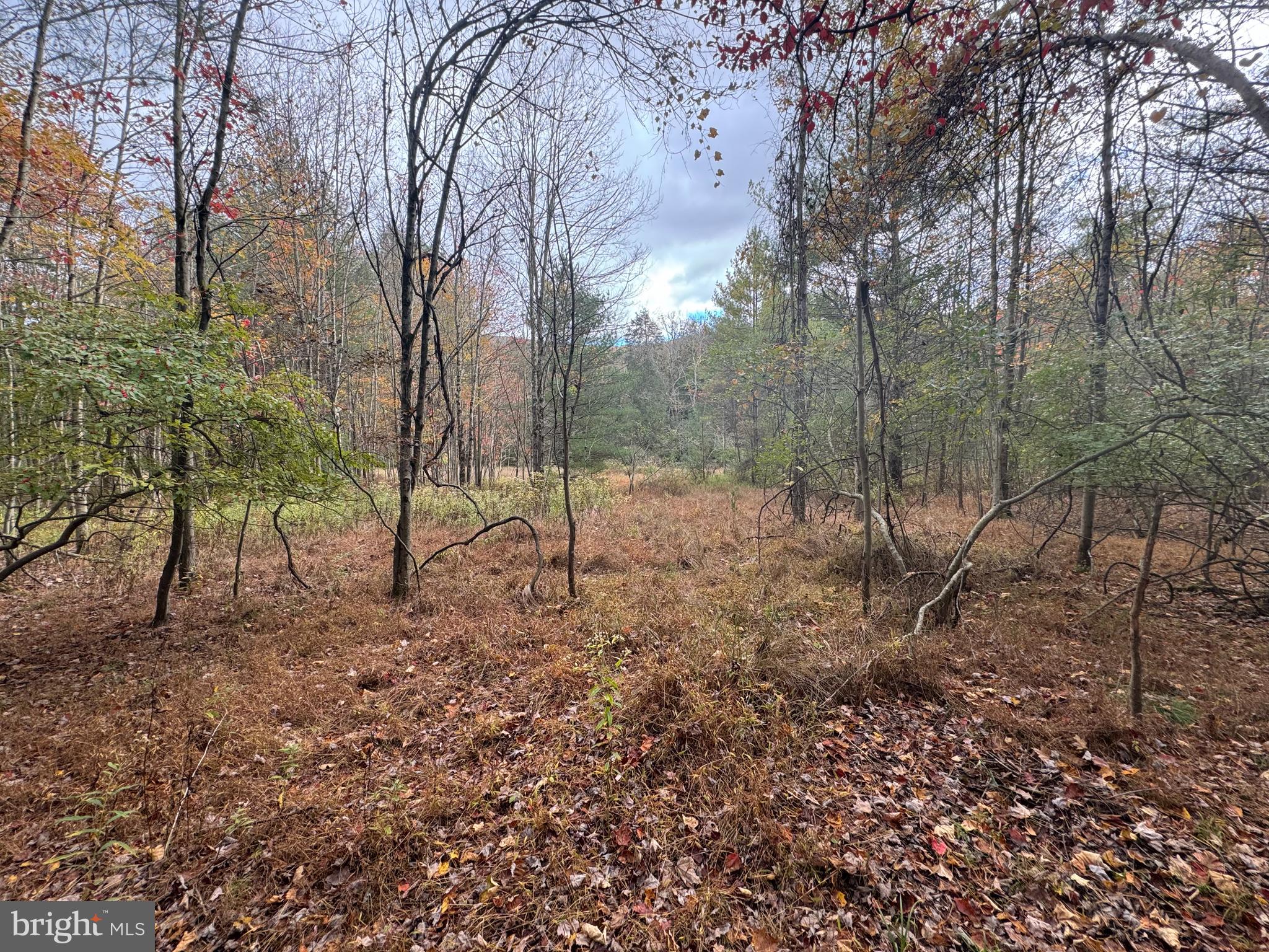 2600 NEW LANCASTER VALLEY RD