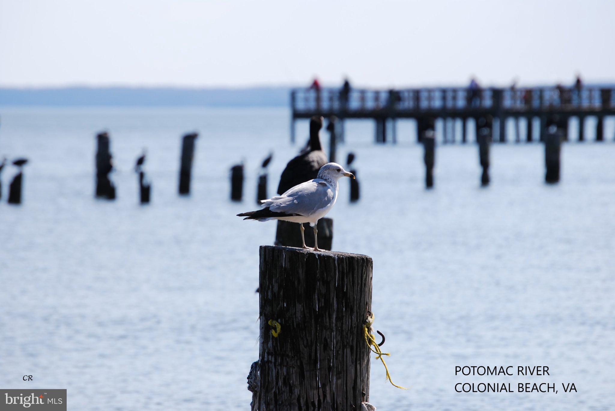 THE POINT - Residential