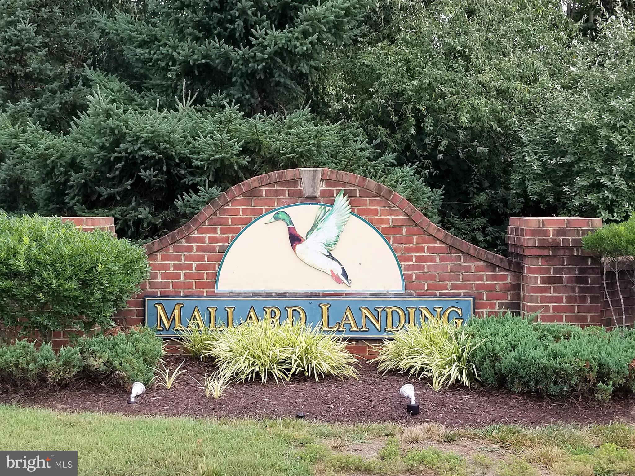 MALLARD LANDING - Residential