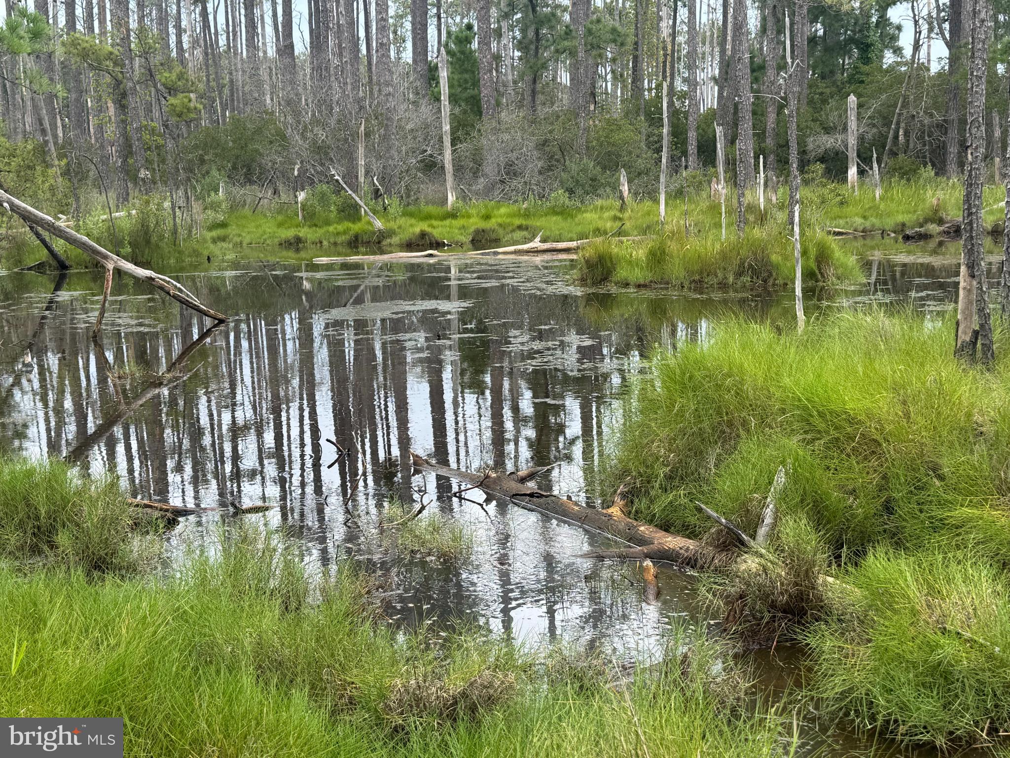 FARM CREEK