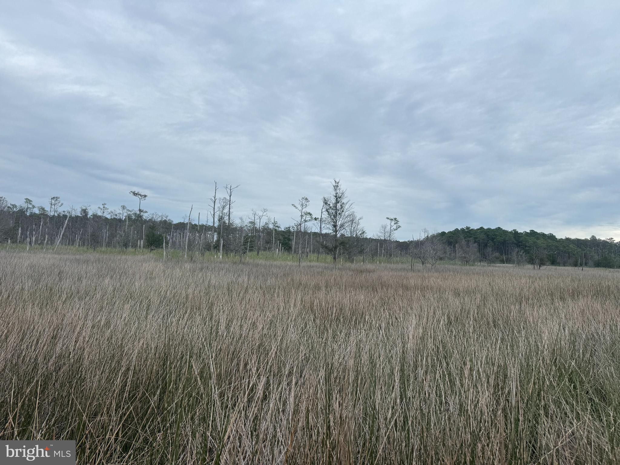 FARM CREEK