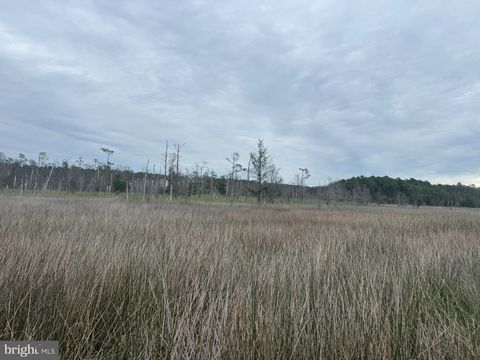 FARM CREEK WINGATE MD 21675