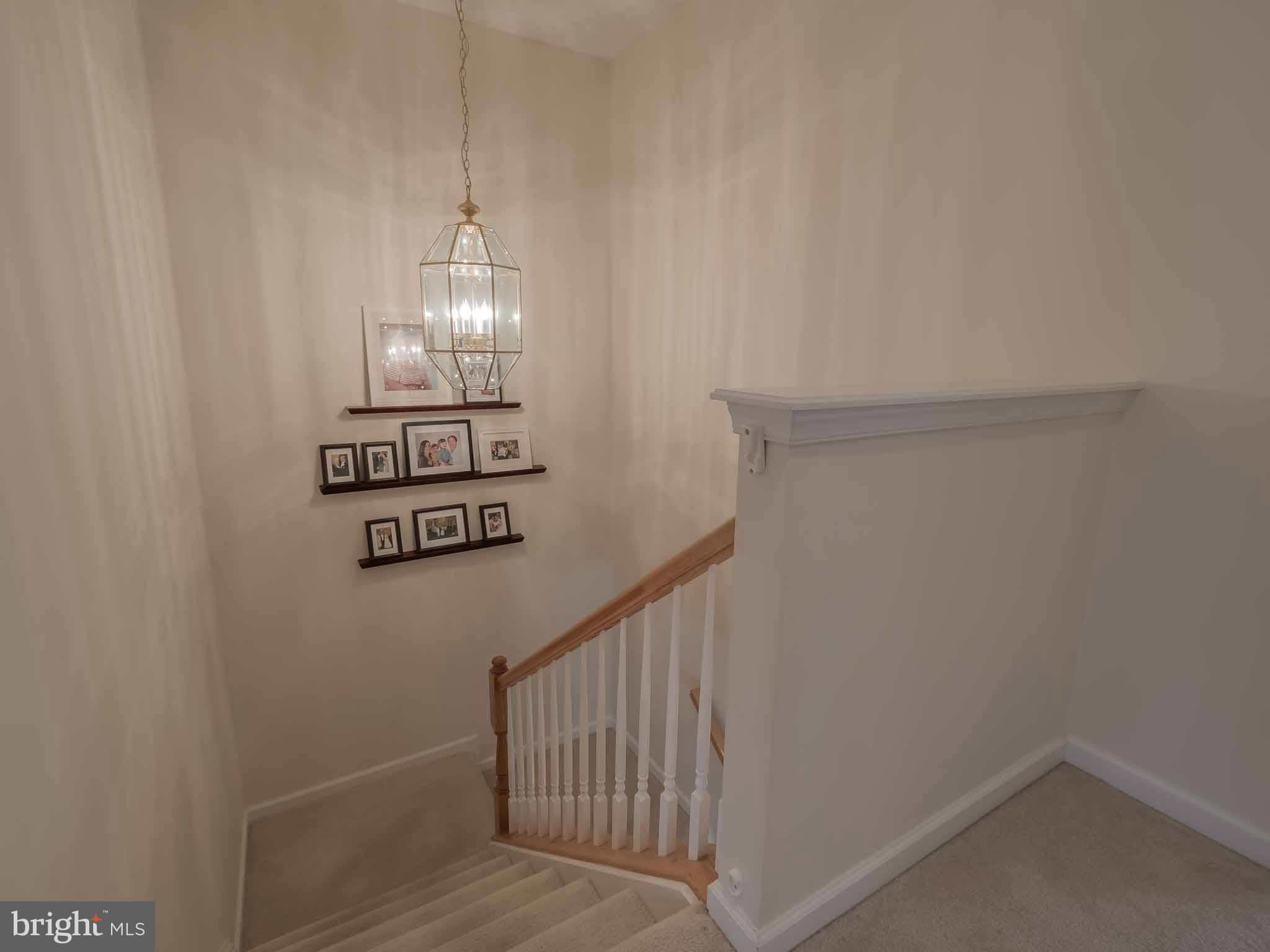 DAHLIA PARK OF WILDEWOOD - Residential