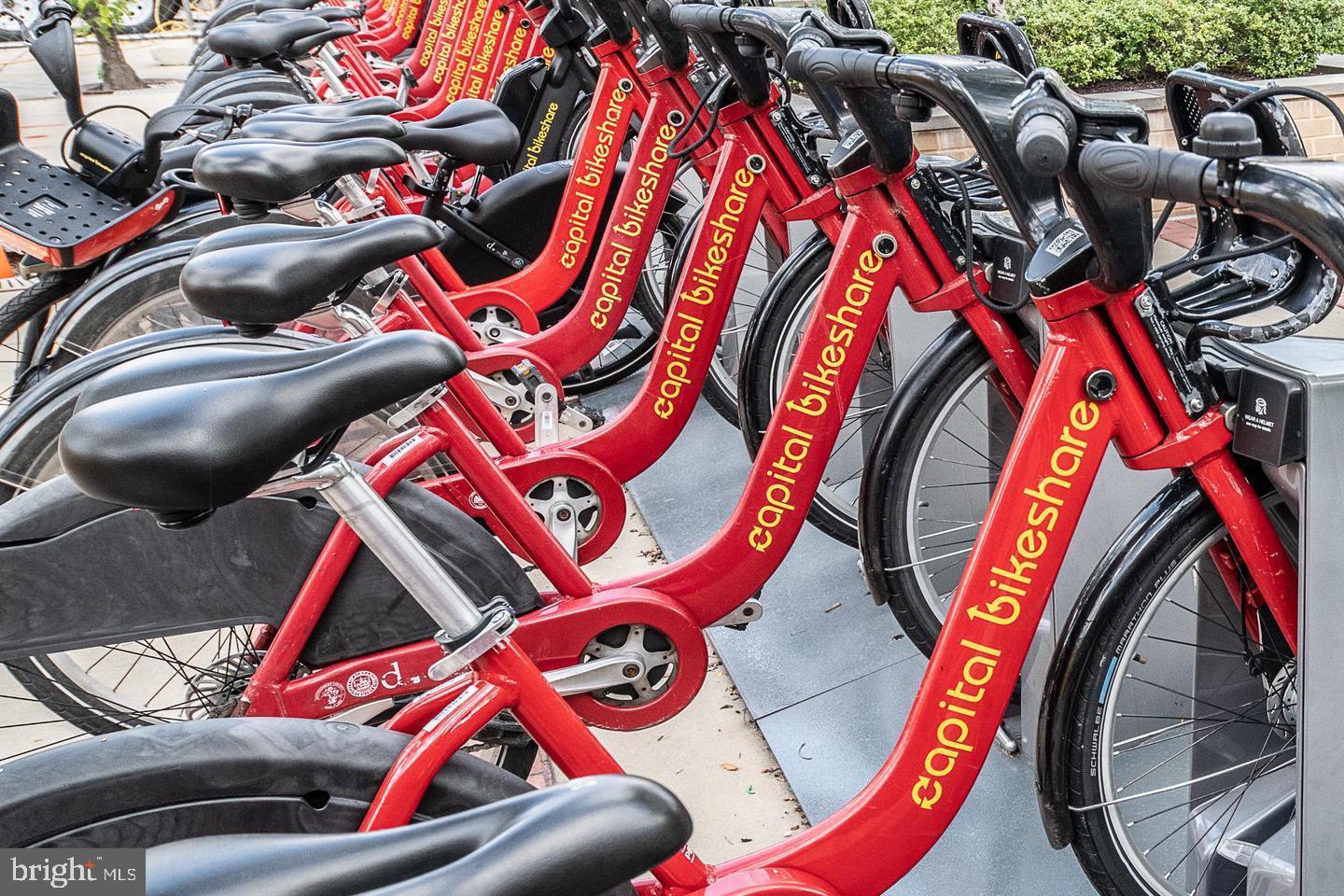 HALSTEAD AT THE METRO - Residential Lease