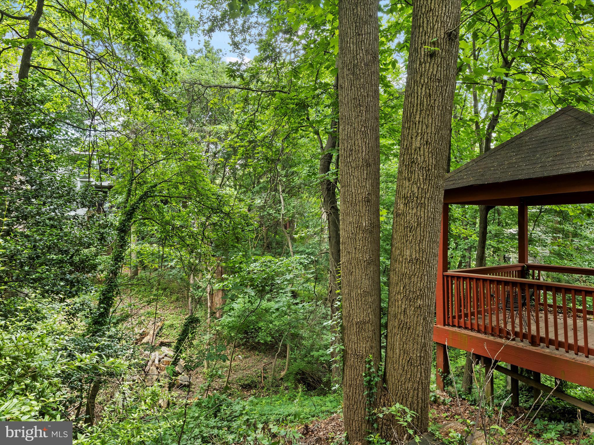 ARLINGTON FOREST - Residential Lease