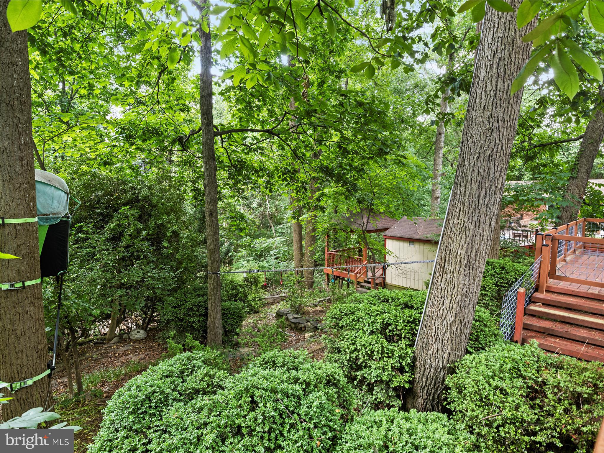 ARLINGTON FOREST - Residential Lease