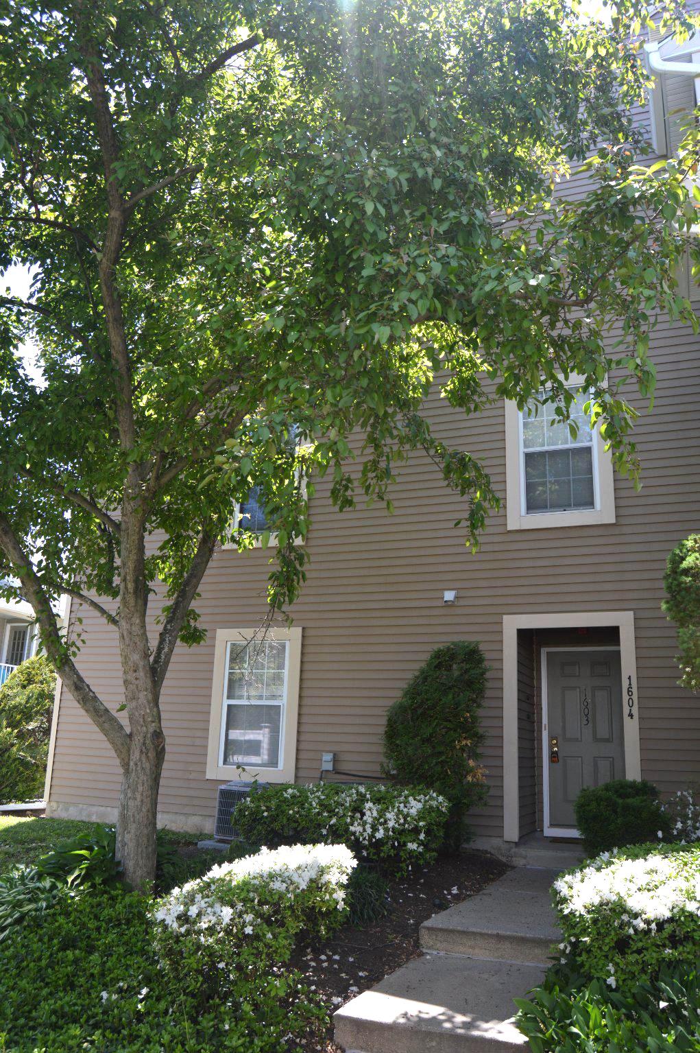 NEWTOWN GRANT - Residential