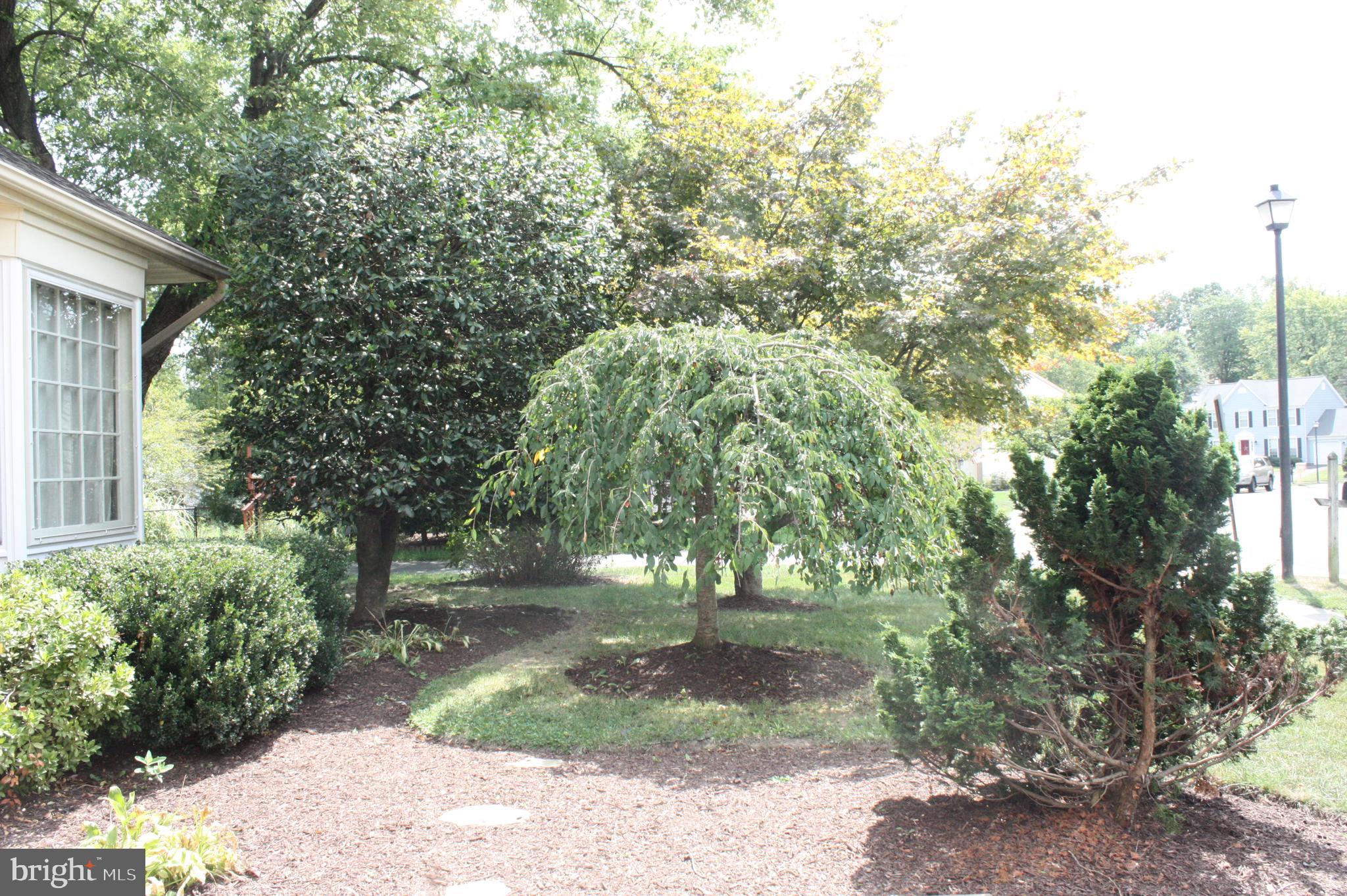 FAIRFAX CLUB ESTATES - Residential Lease