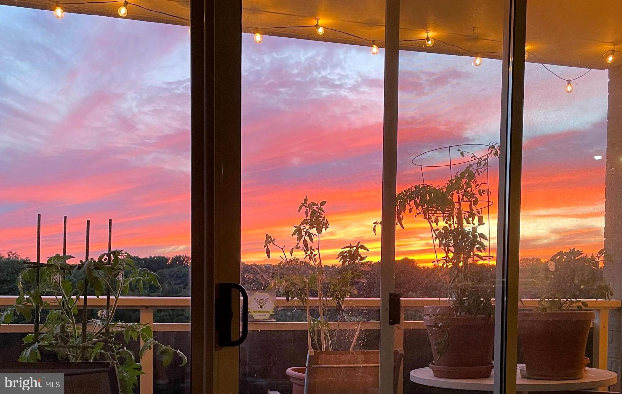 TAKOMA PARK - Residential