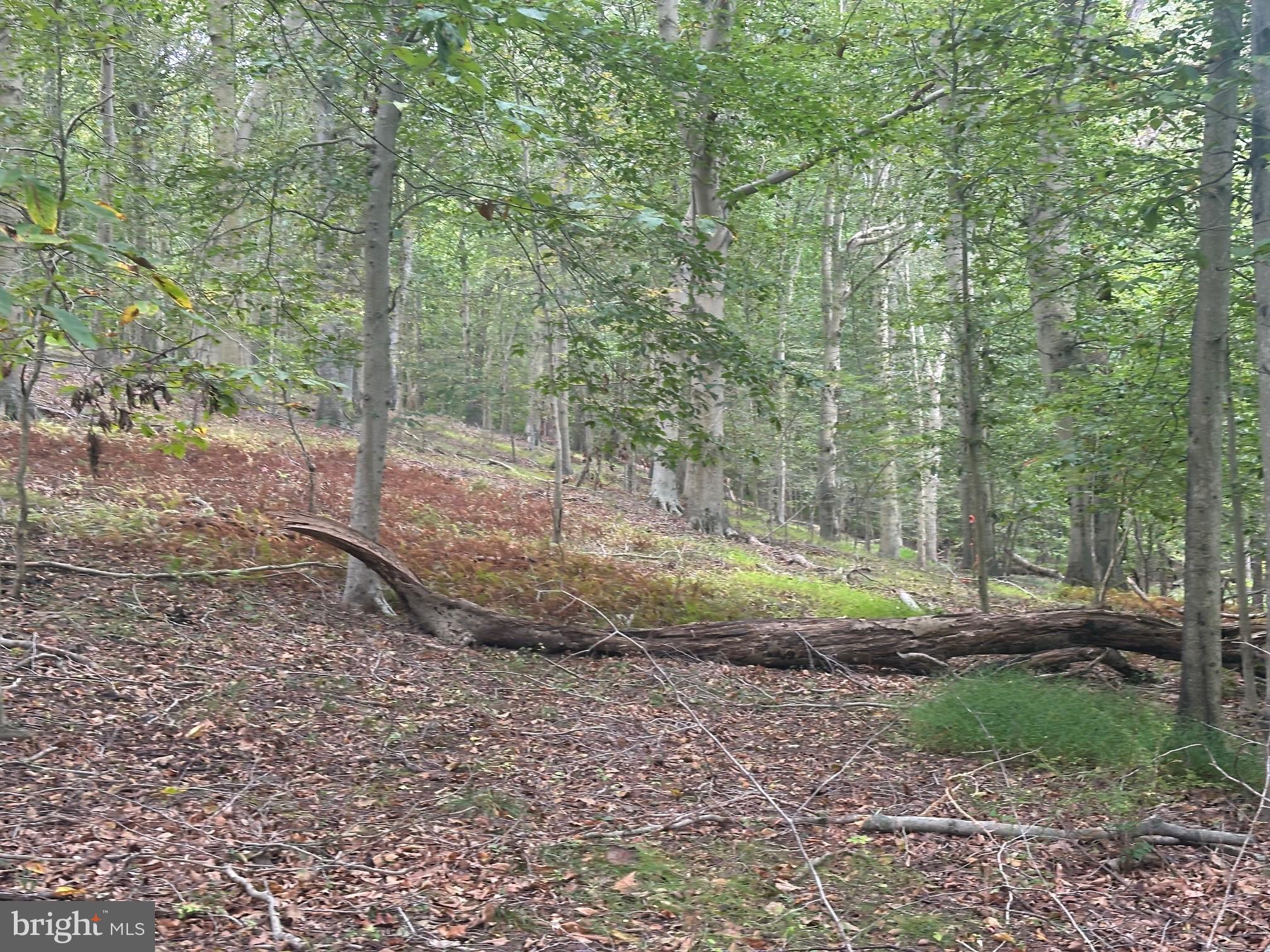 OAKWOOD - Residential