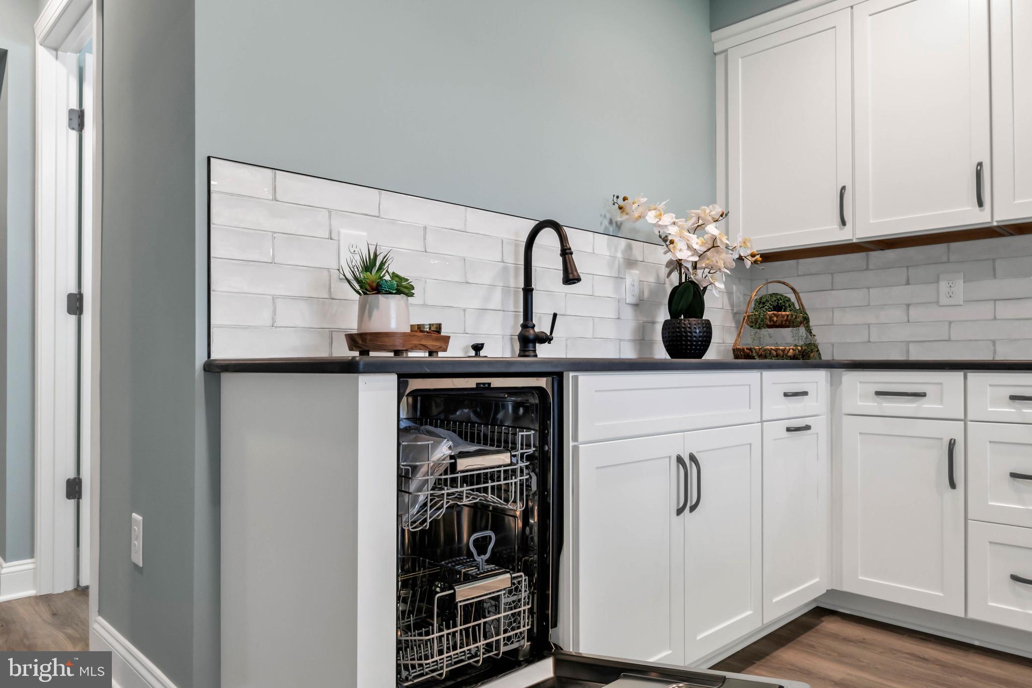 STRAY FOX - Residential