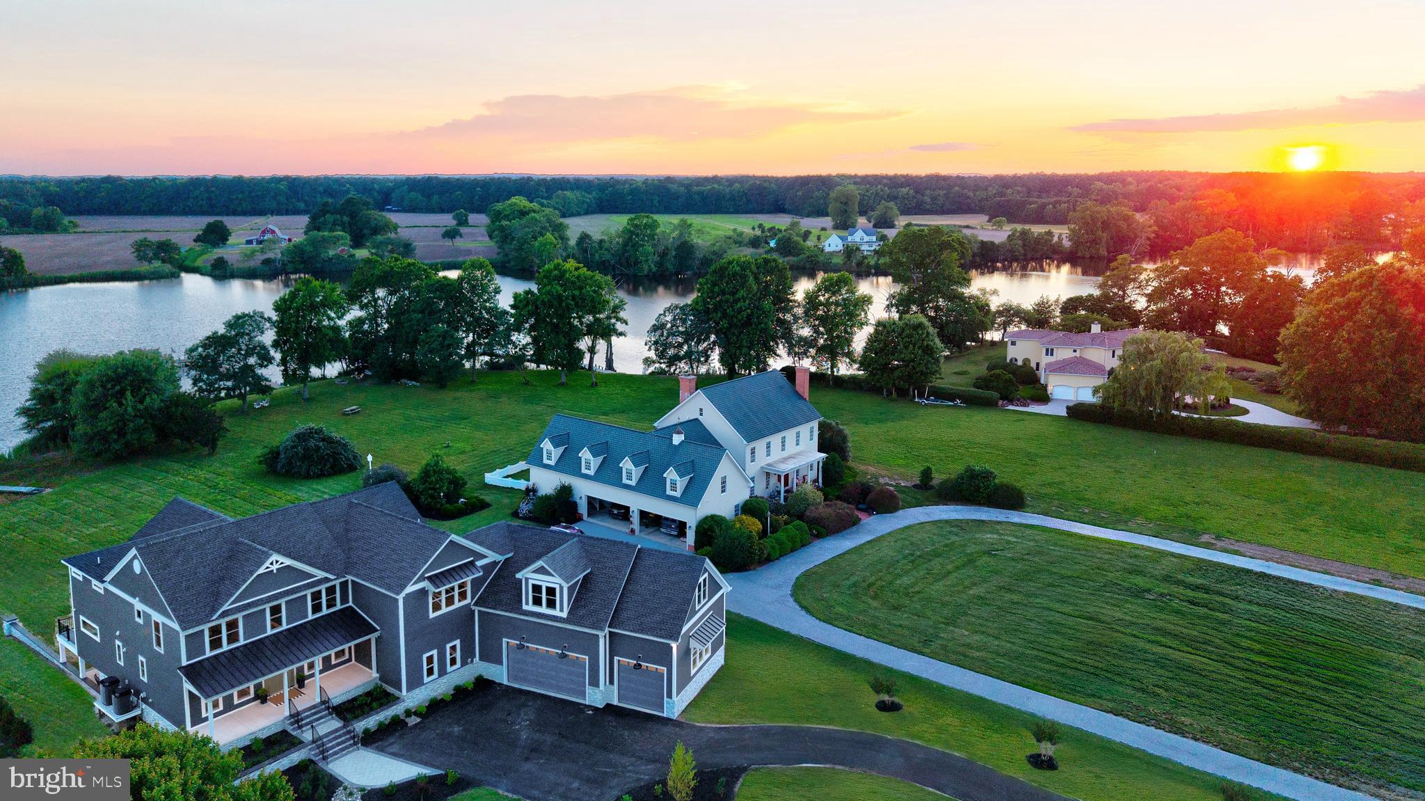 STRAY FOX - Residential