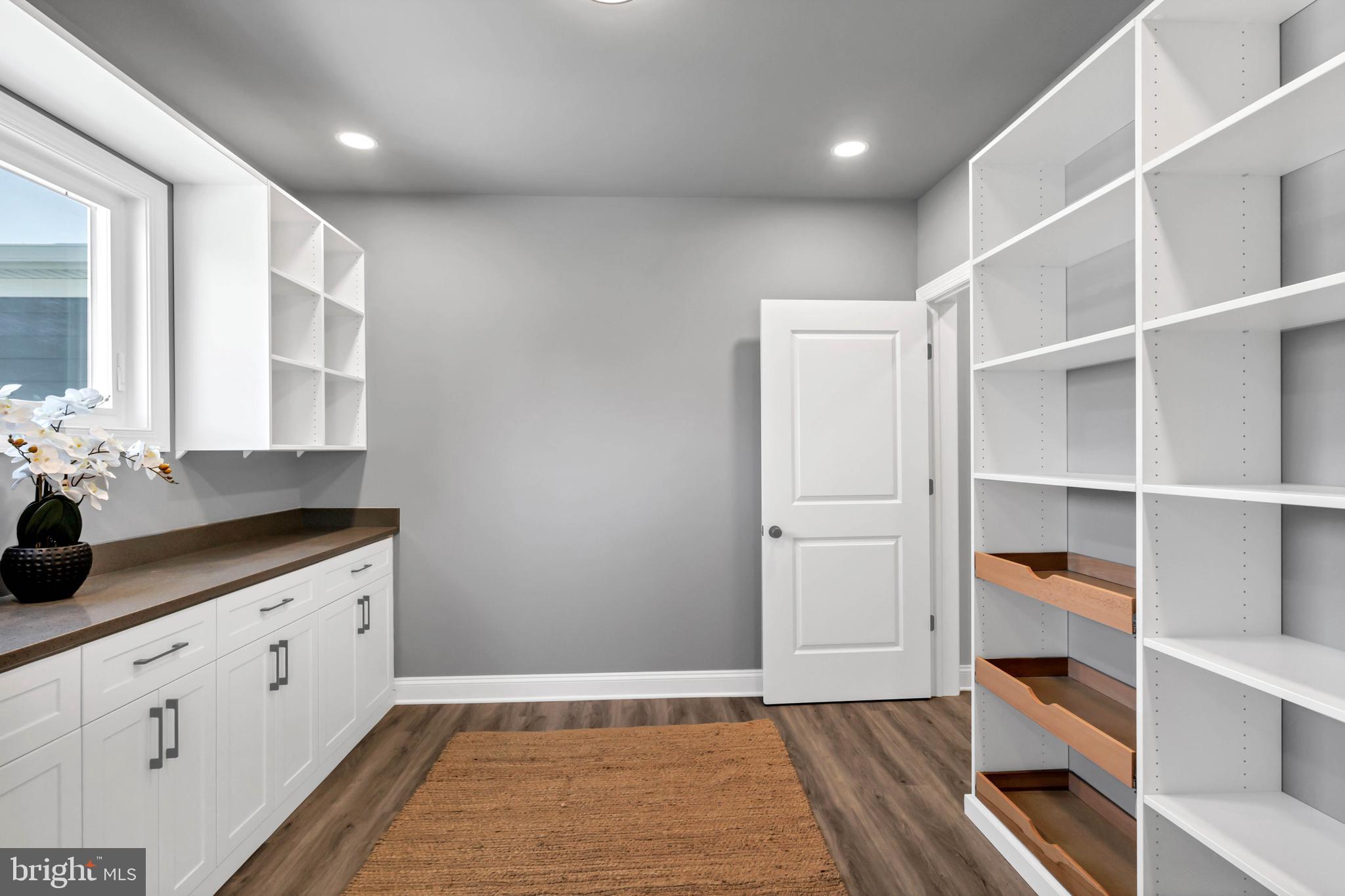 STRAY FOX - Residential