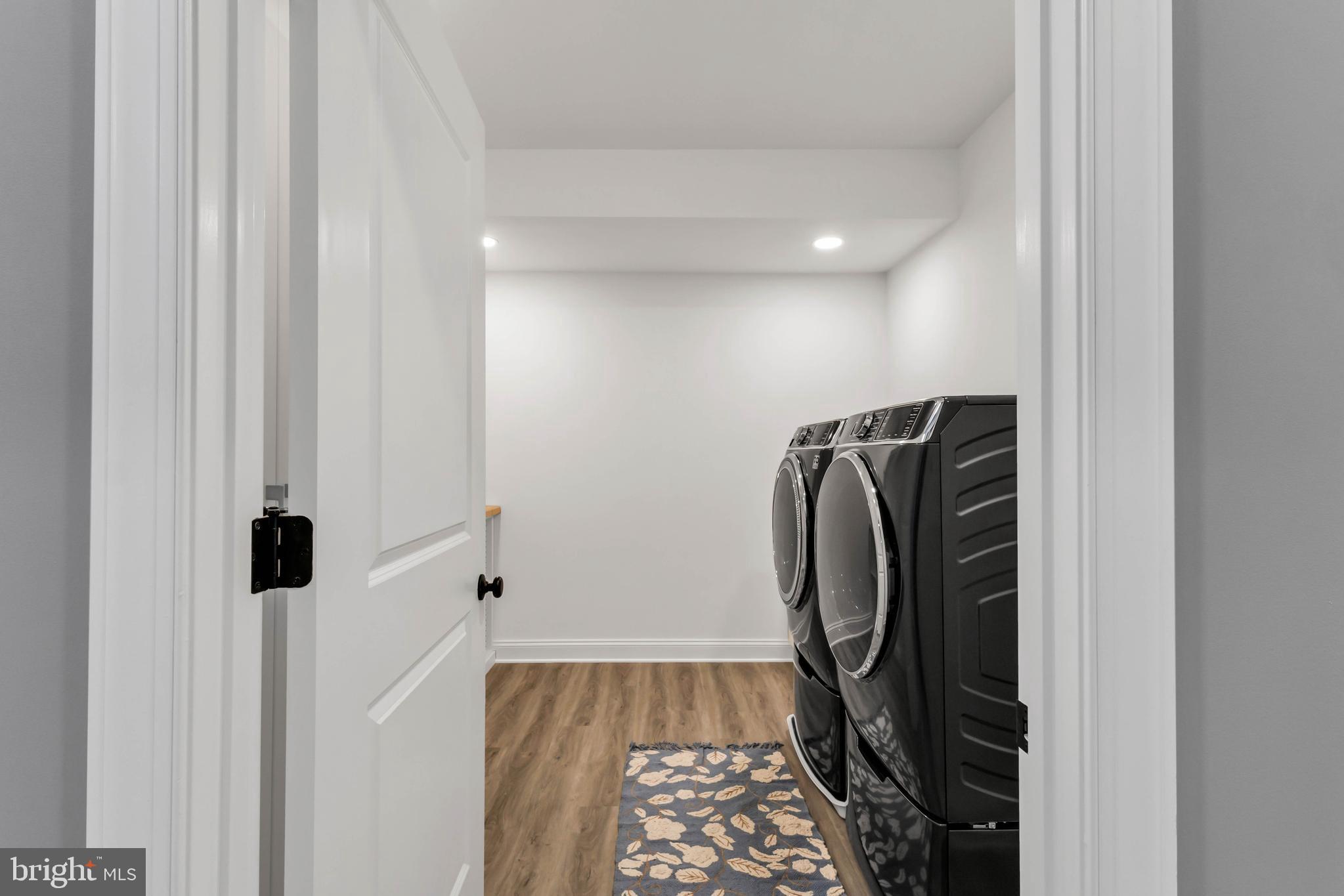 STRAY FOX - Residential