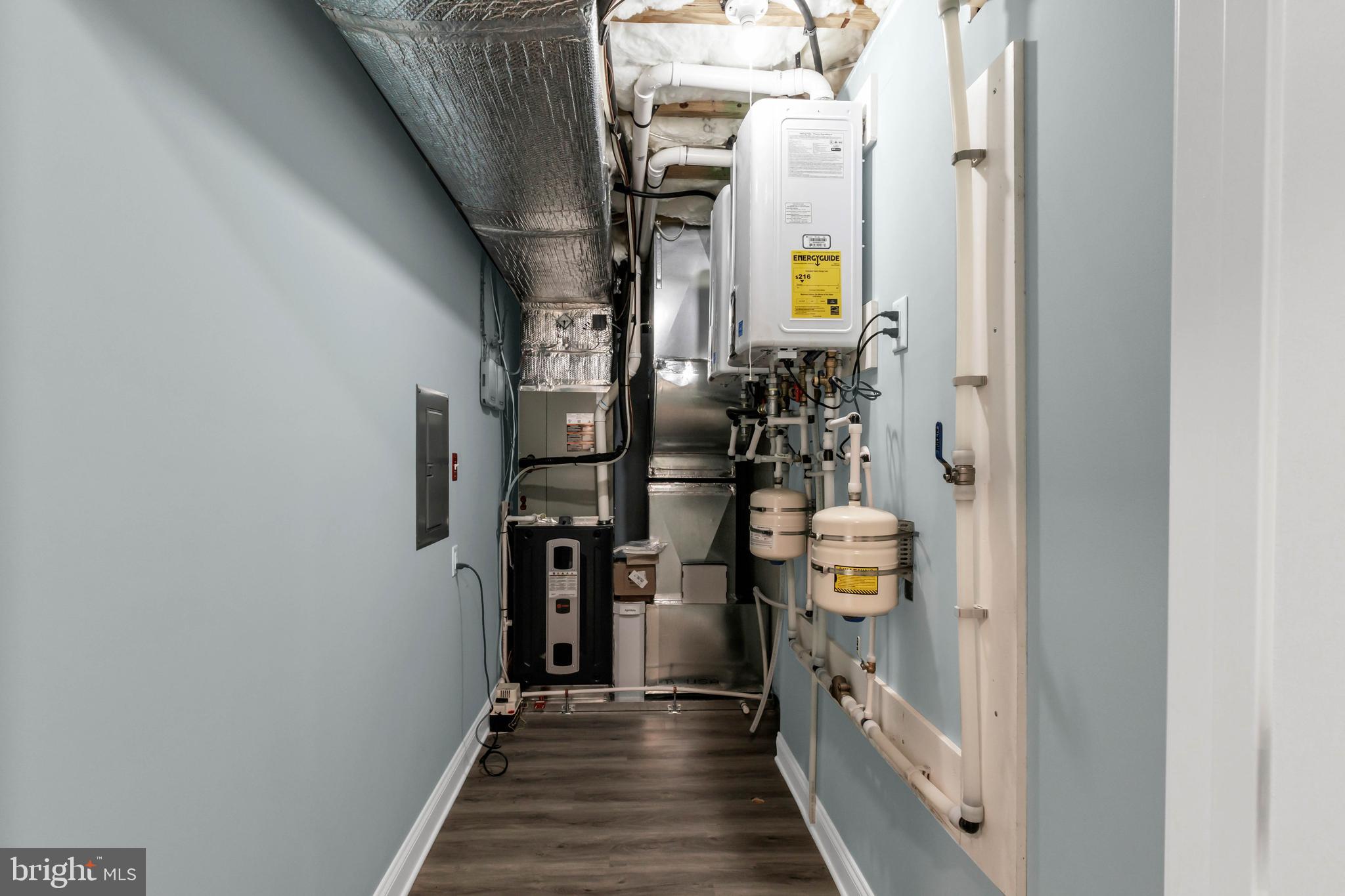 STRAY FOX - Residential