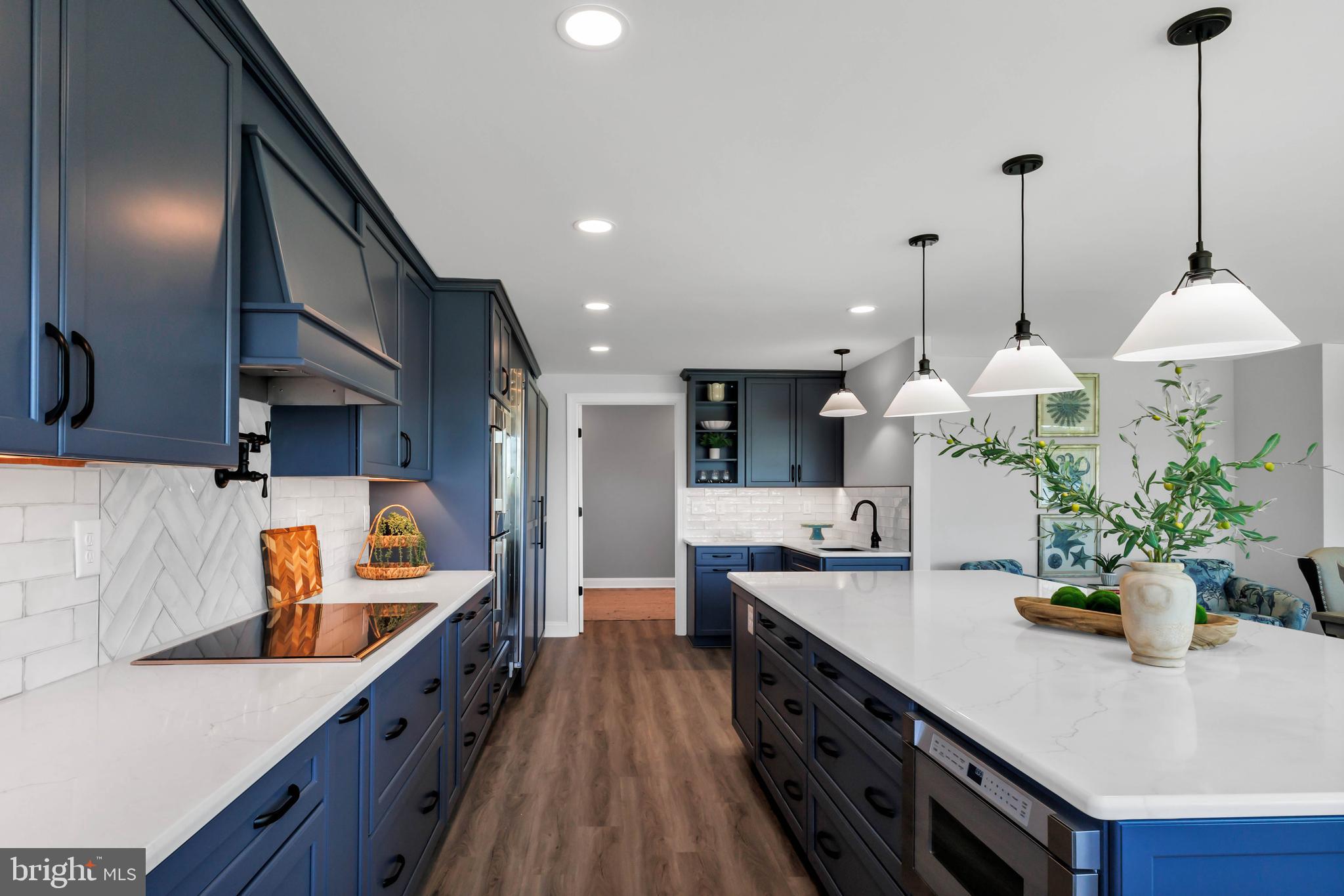 STRAY FOX - Residential