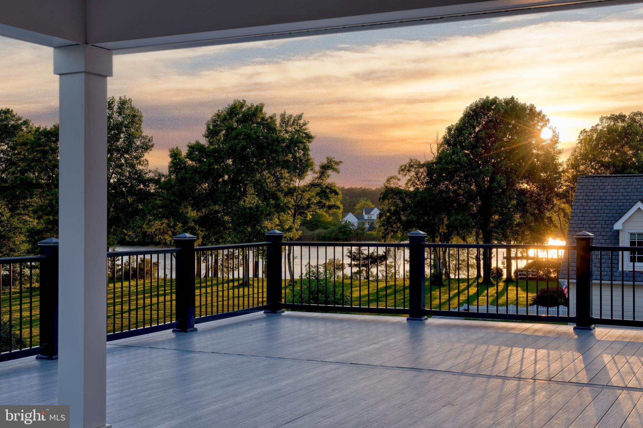 STRAY FOX - Residential