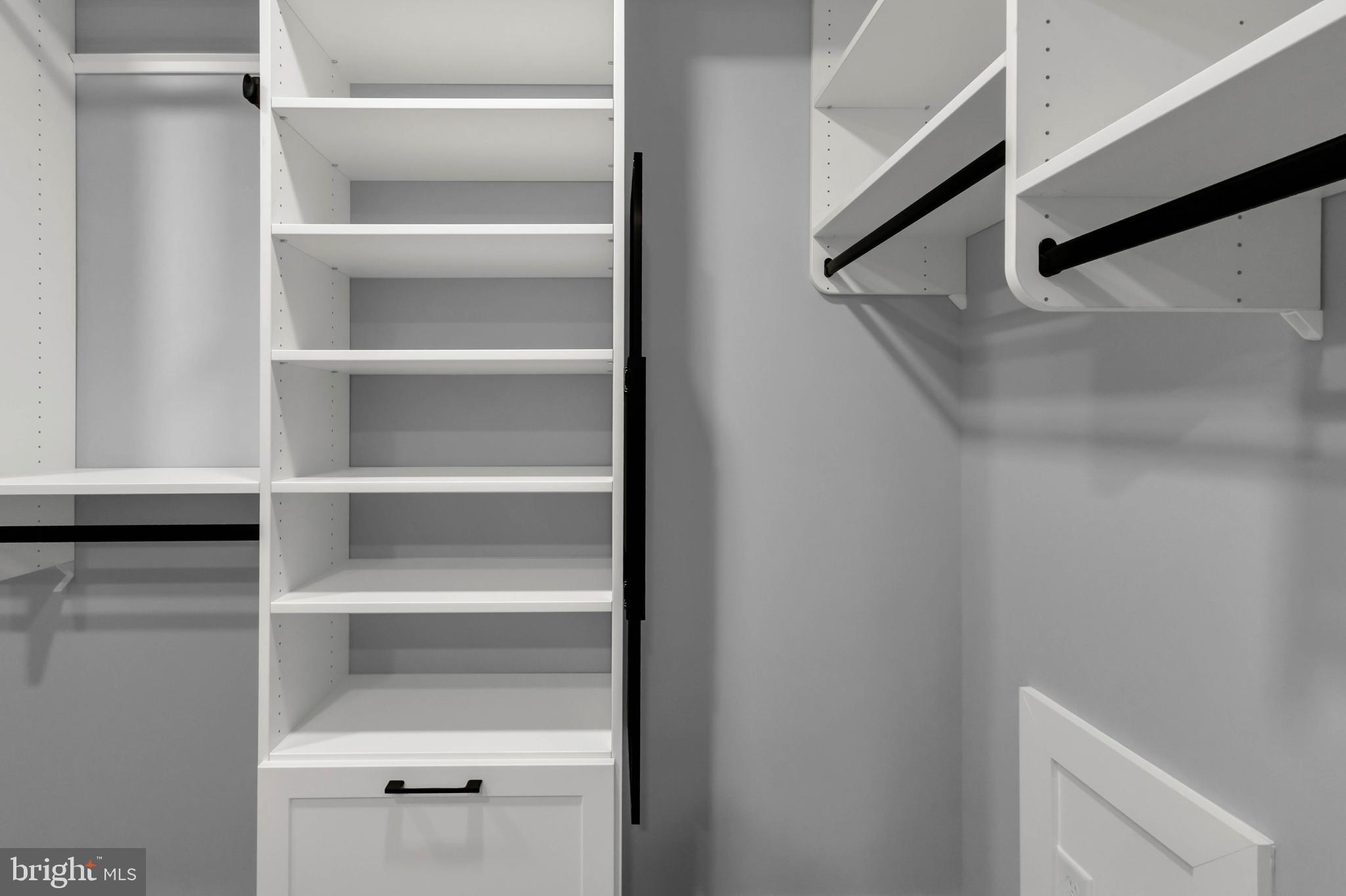 STRAY FOX - Residential