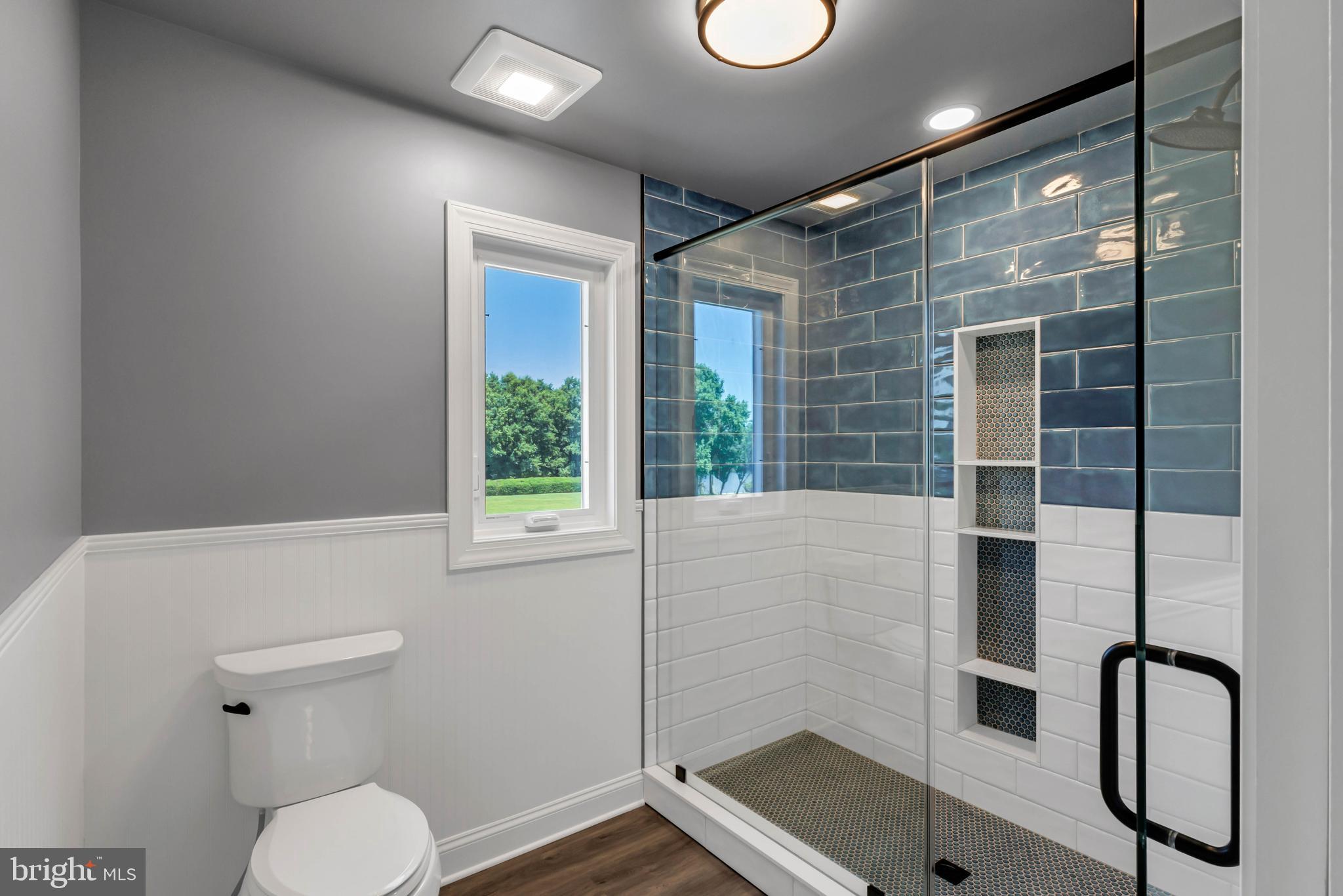 STRAY FOX - Residential