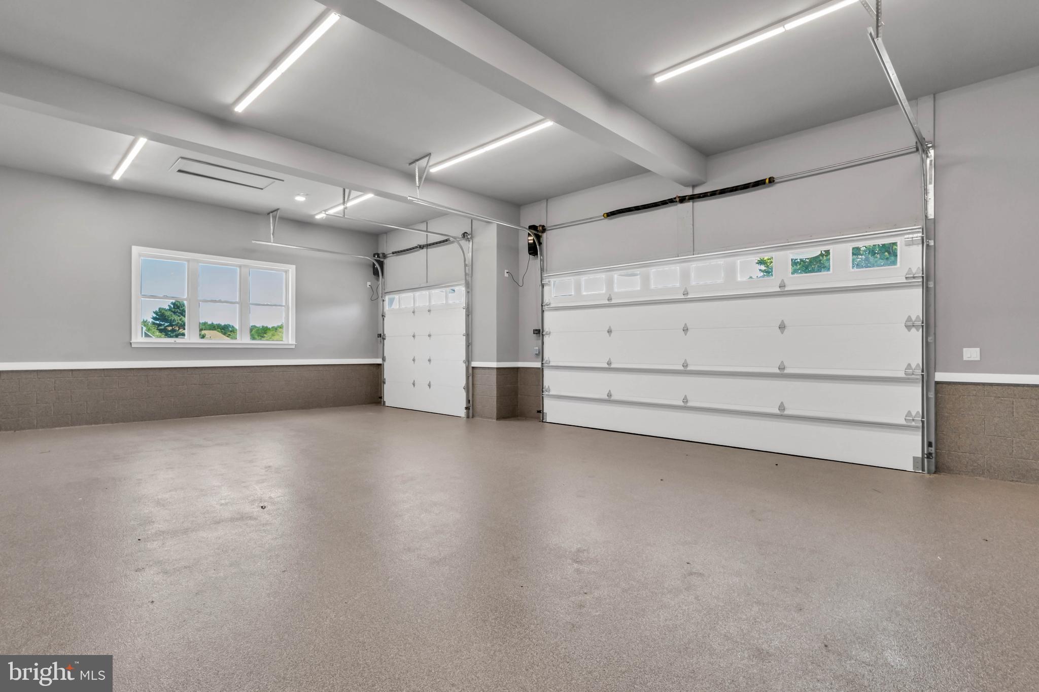 STRAY FOX - Residential