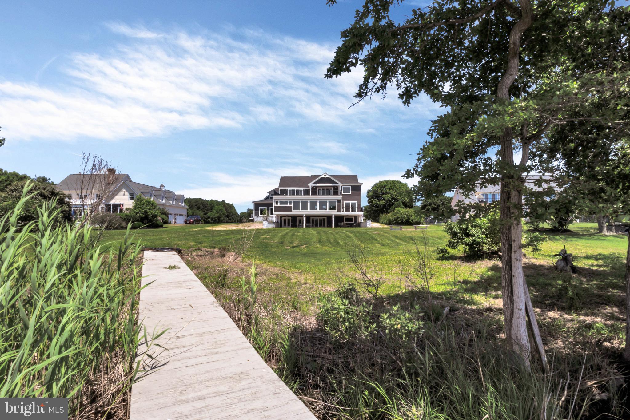 STRAY FOX - Residential