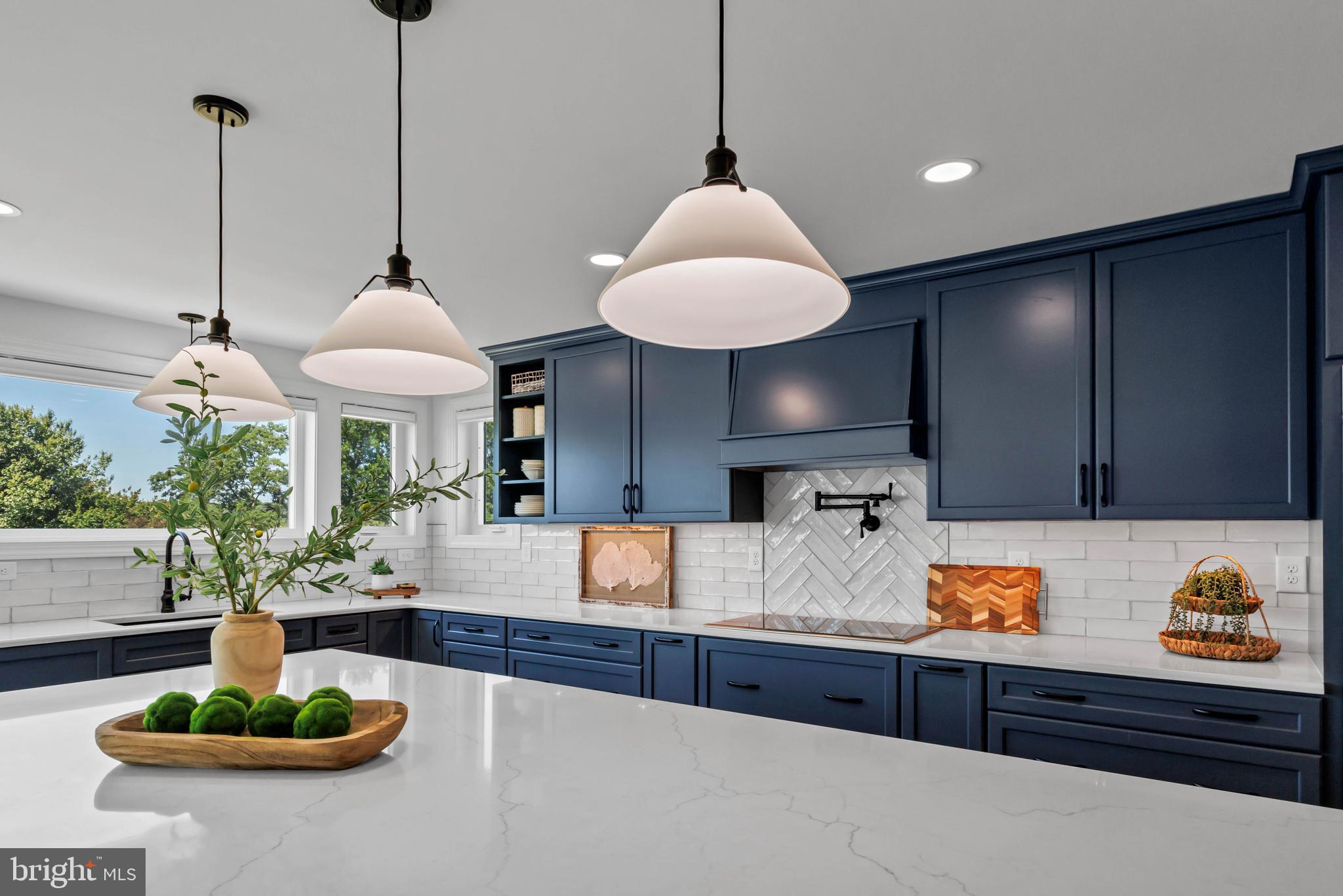 STRAY FOX - Residential