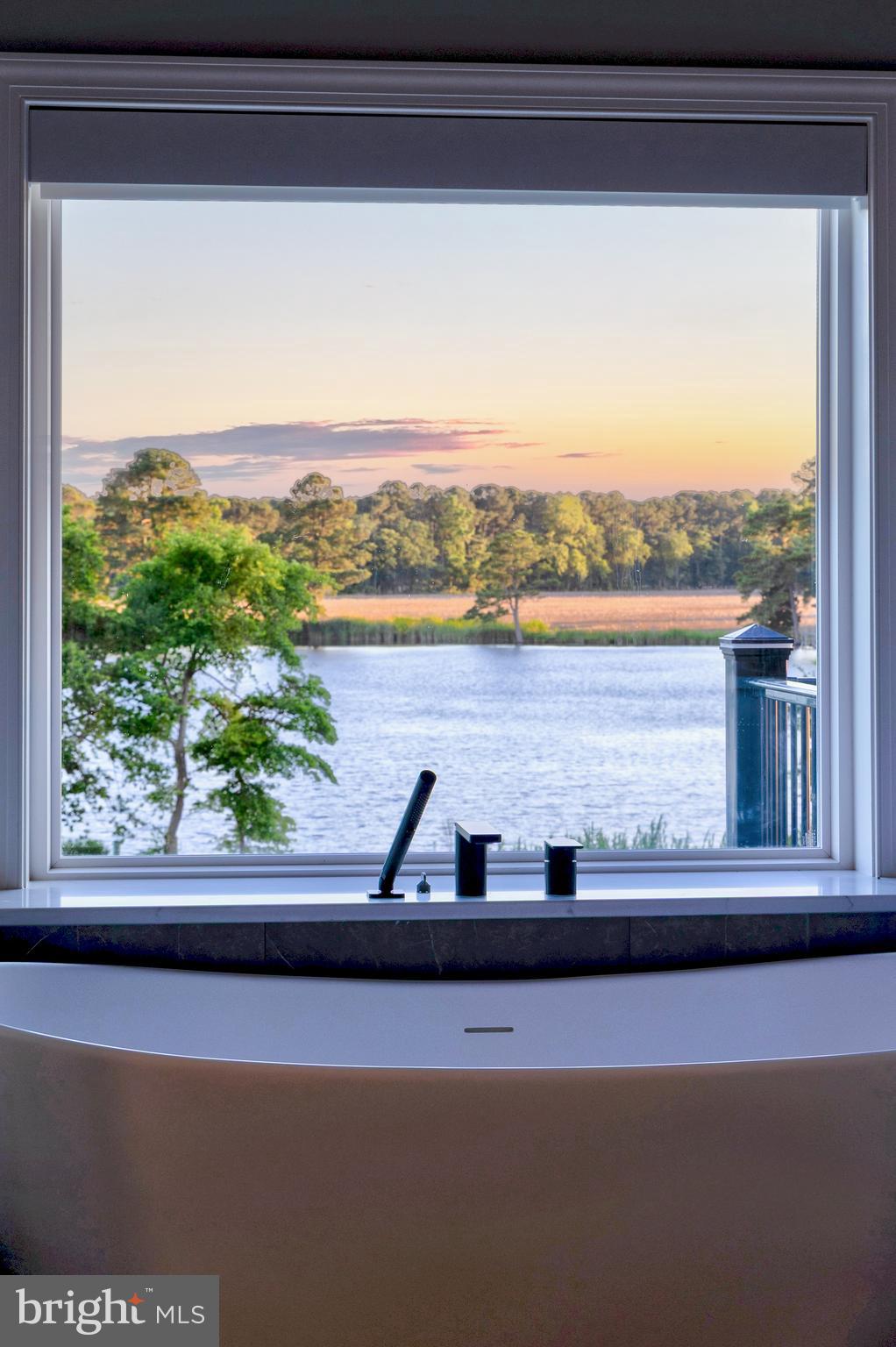 STRAY FOX - Residential