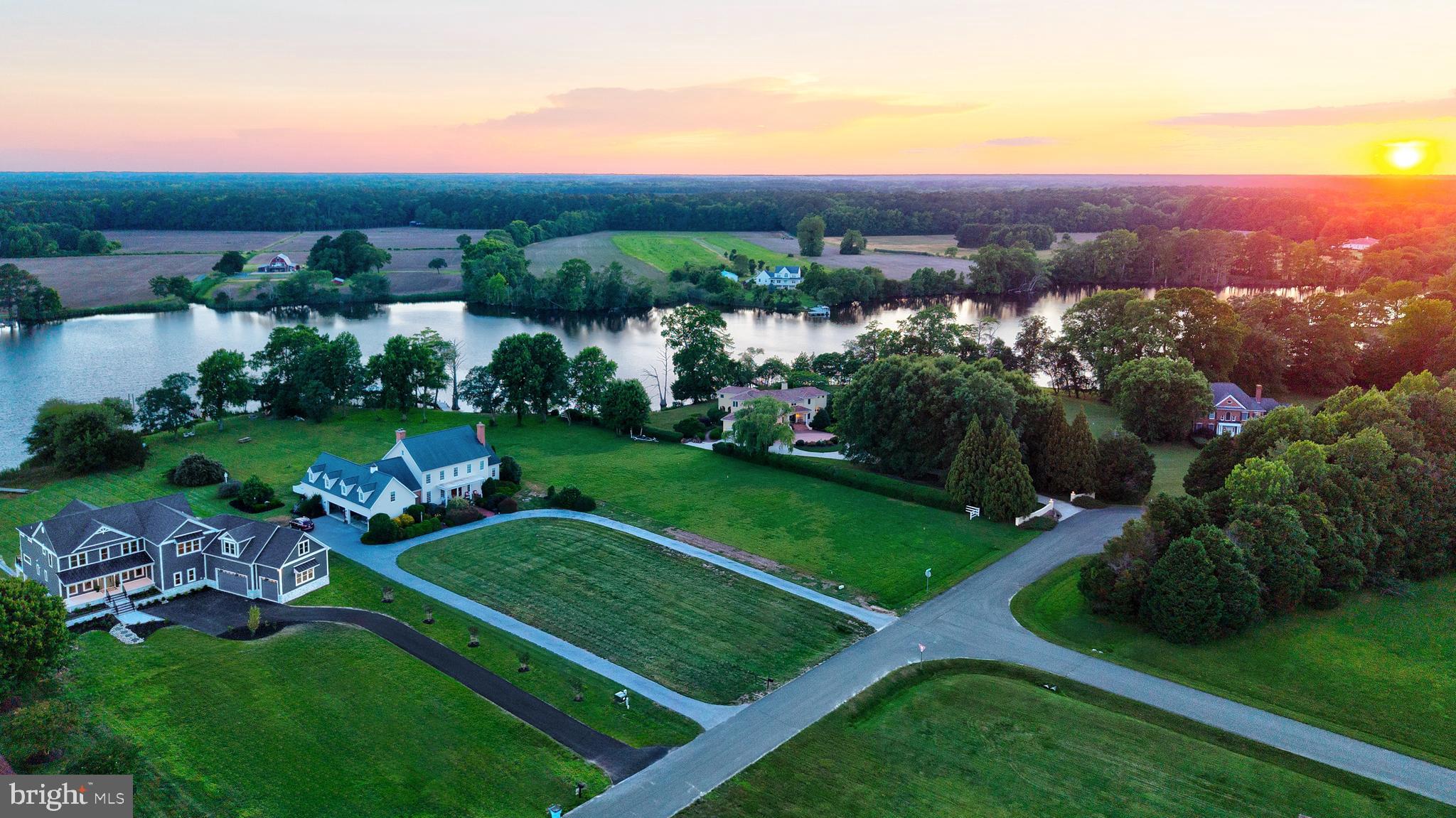 STRAY FOX - Residential