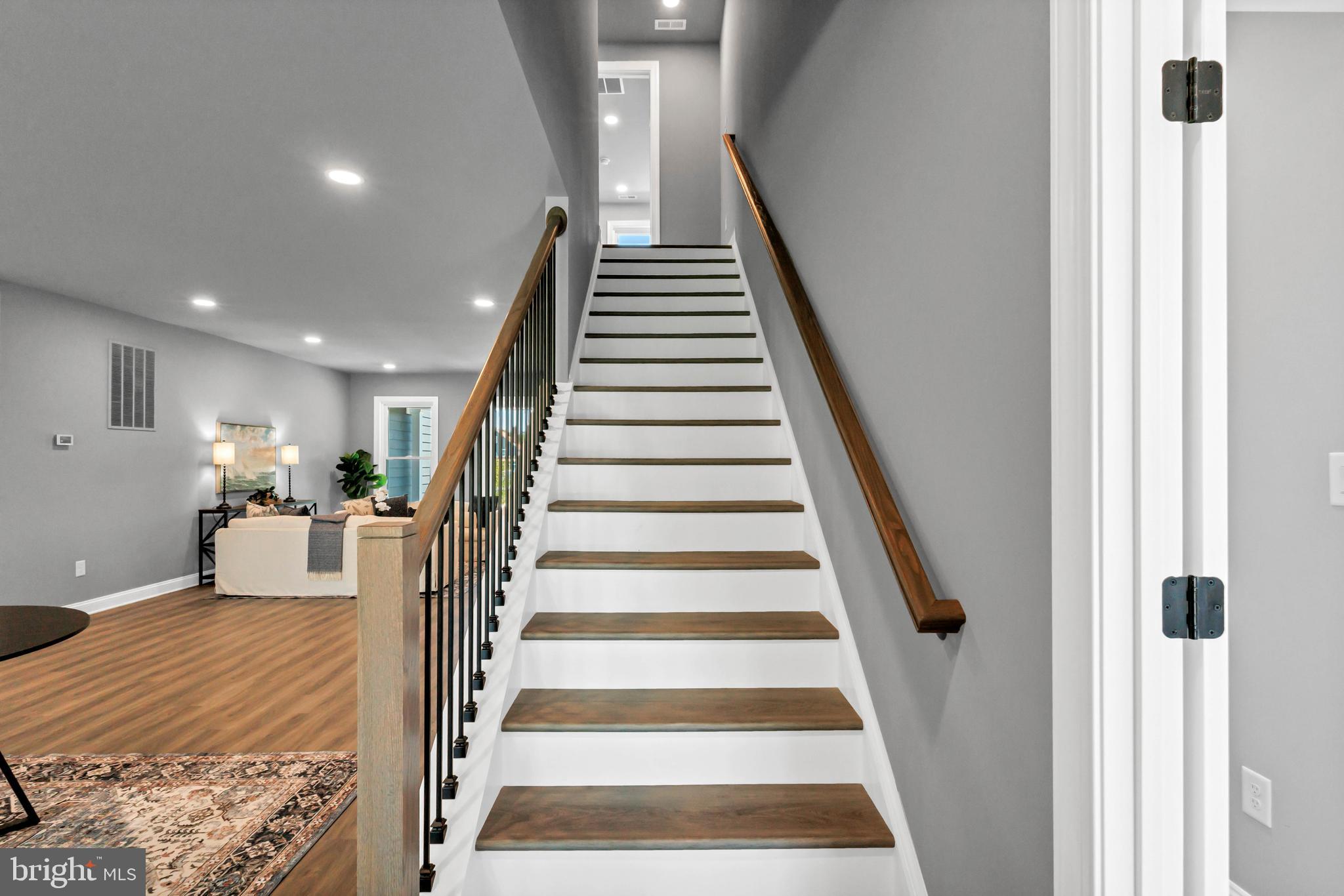 STRAY FOX - Residential