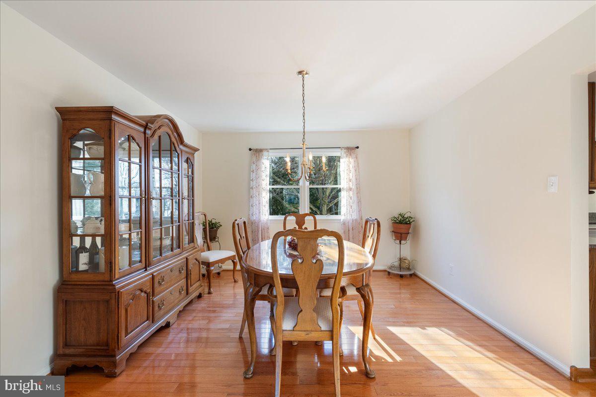 HOLLY DALE - Residential