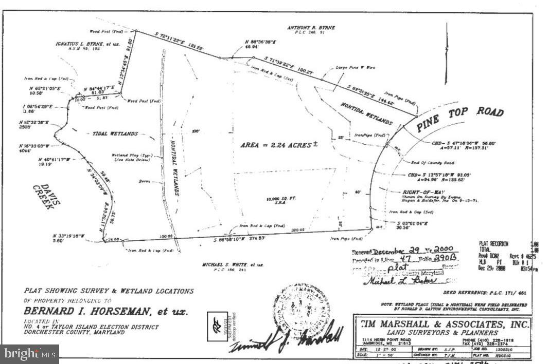 TAYLORS ISLAND - Land