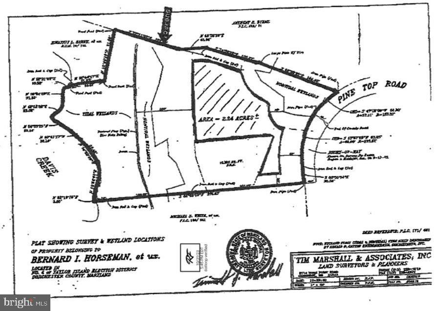 TAYLORS ISLAND - Land