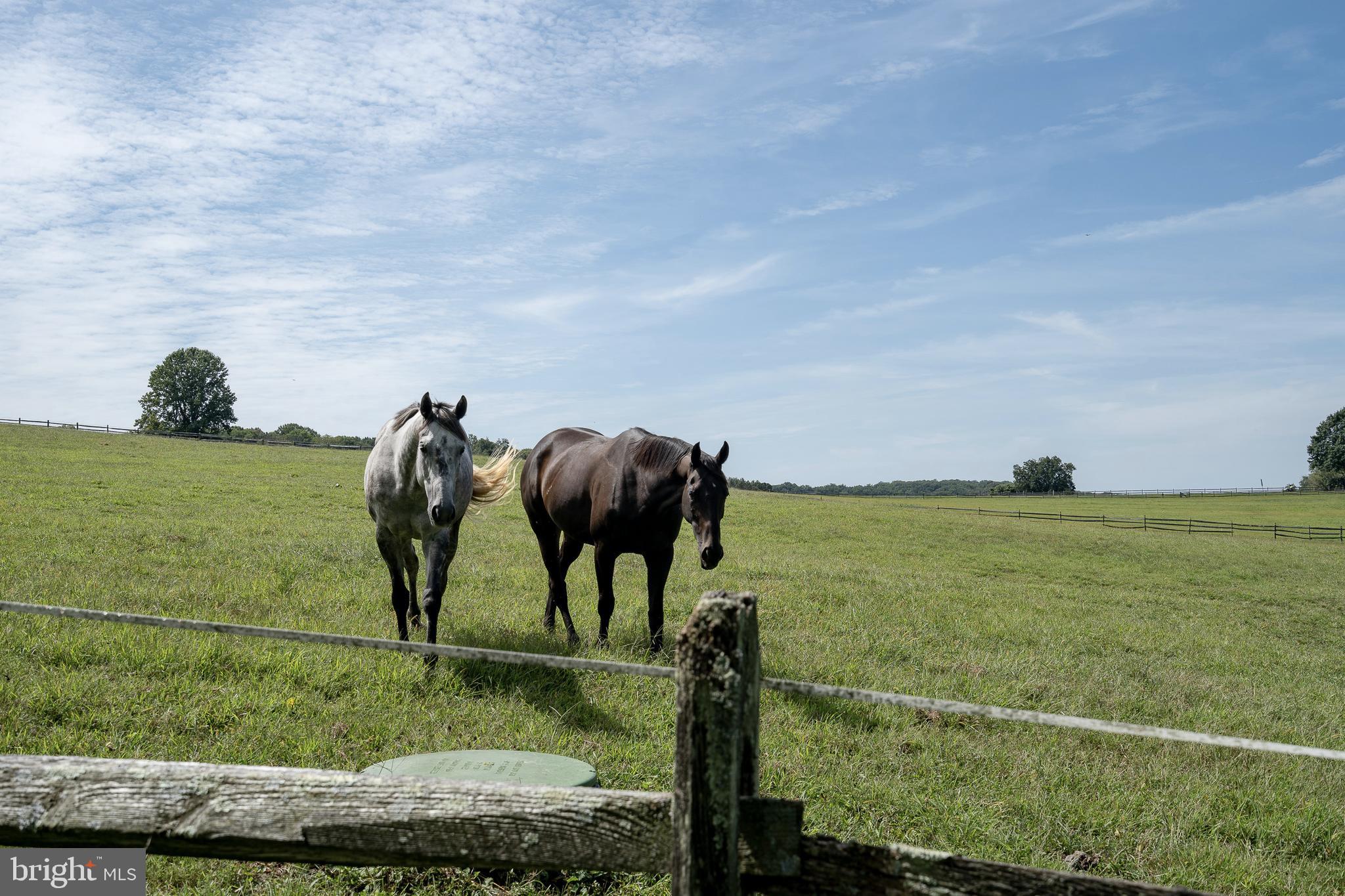 CHESHIRE HUNT - Residential