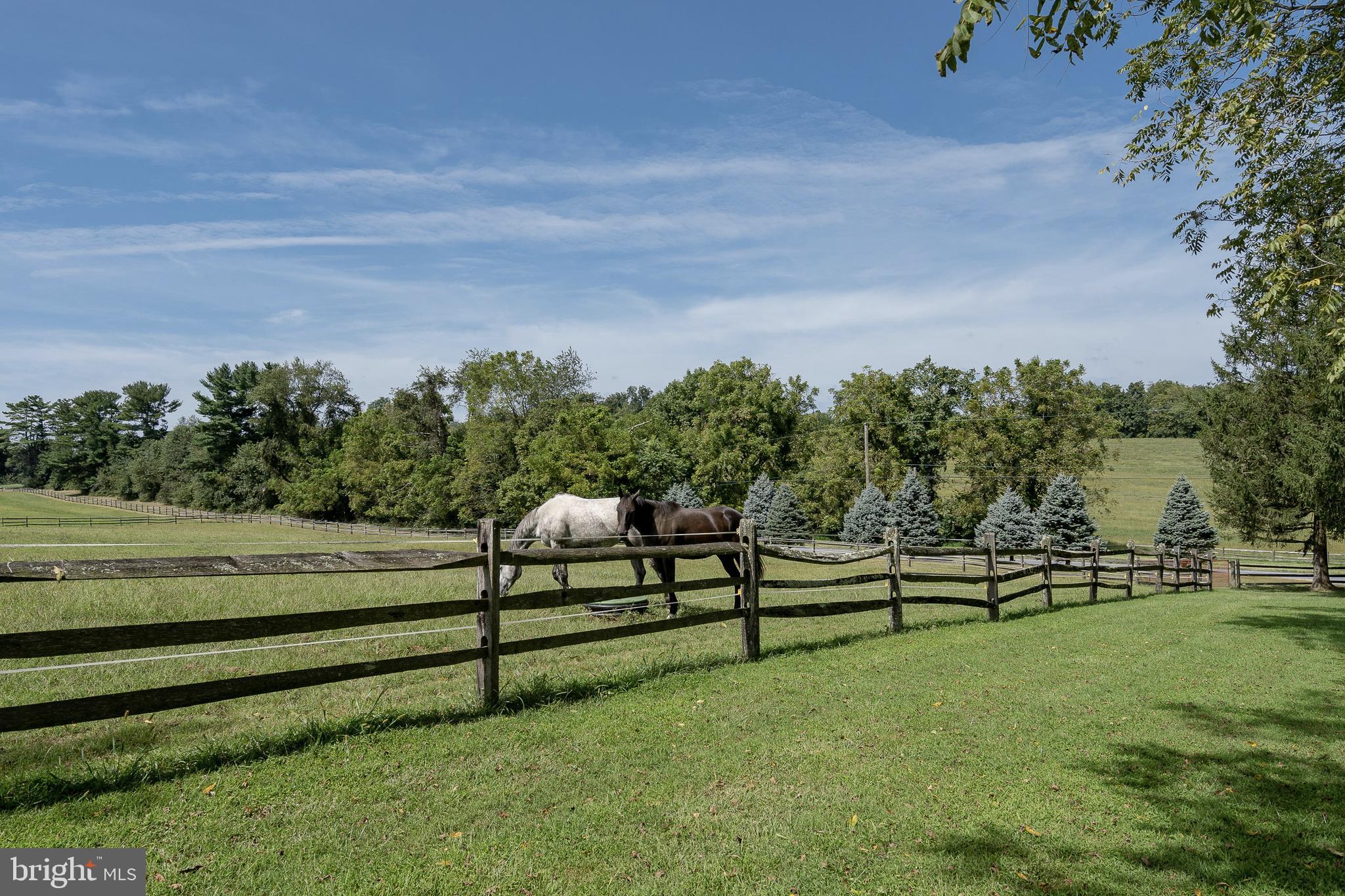 CHESHIRE HUNT - Residential