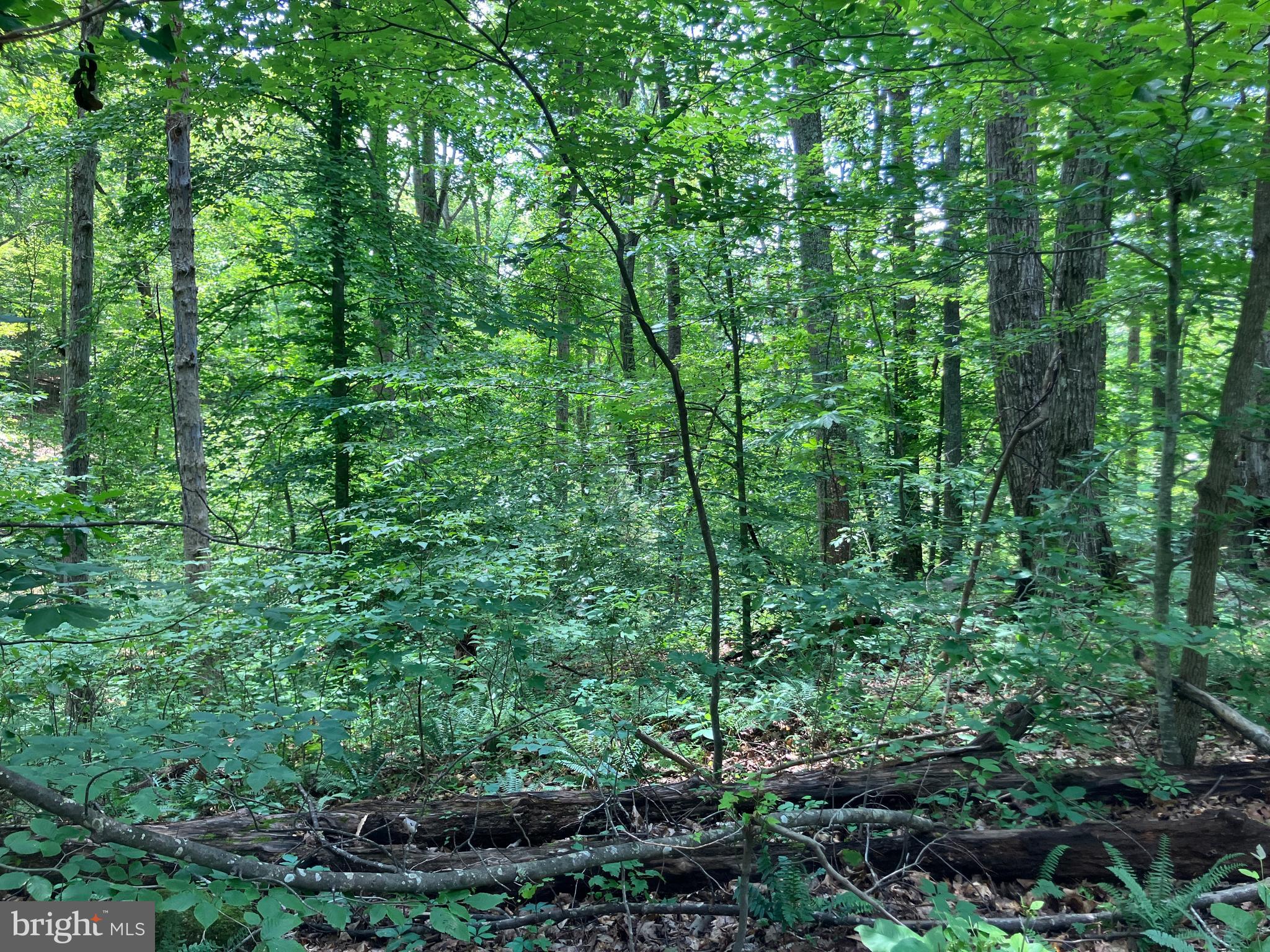 Lot 1224 LAKESHORE DRIVE